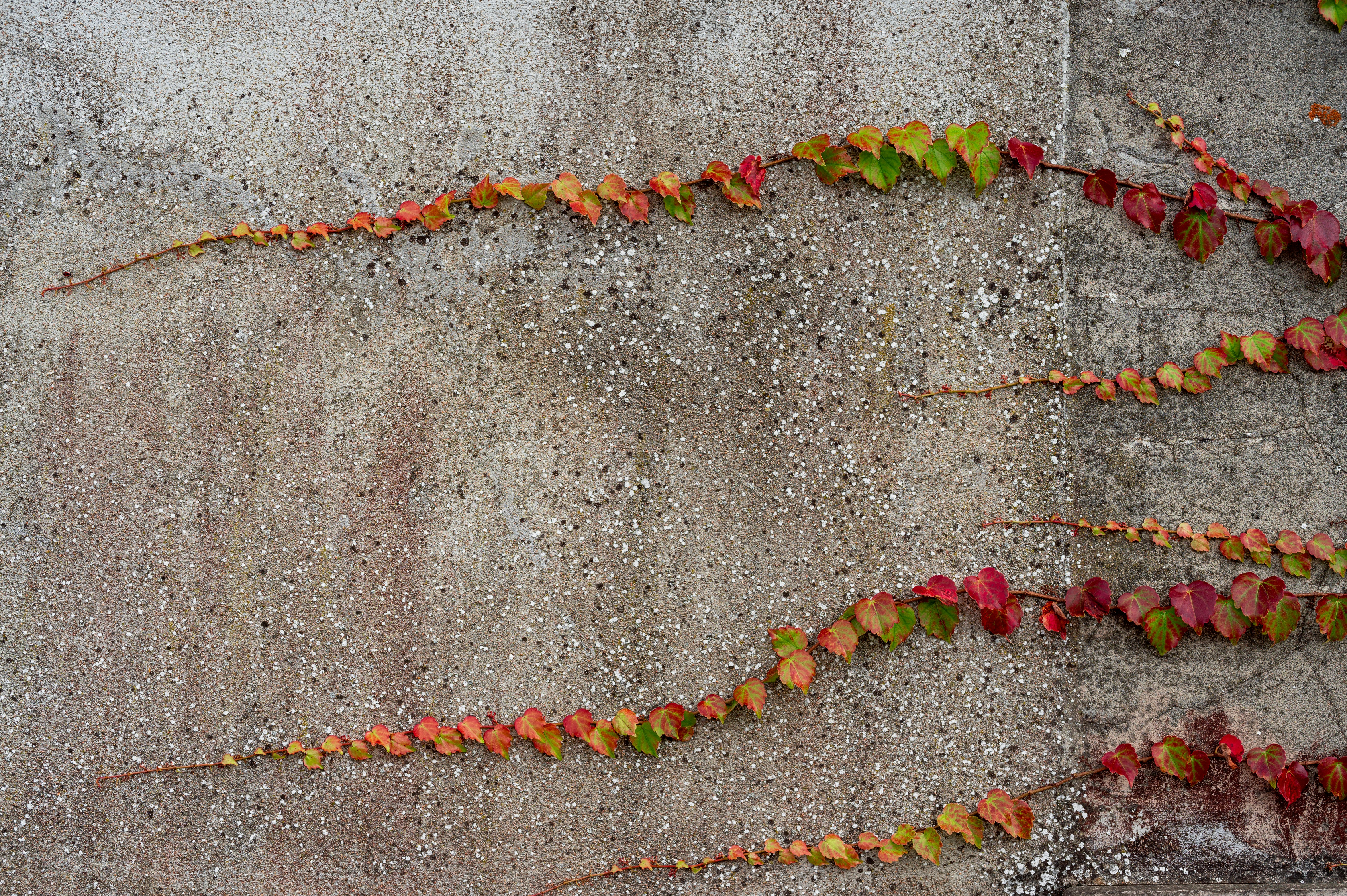 Photo by andreasbrun