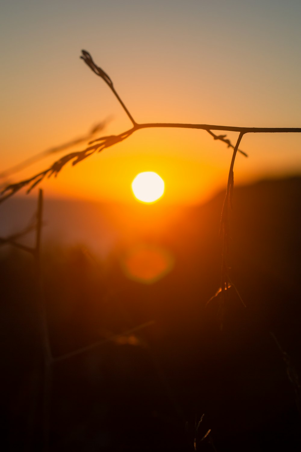 the sun is setting behind a barbed wire fence