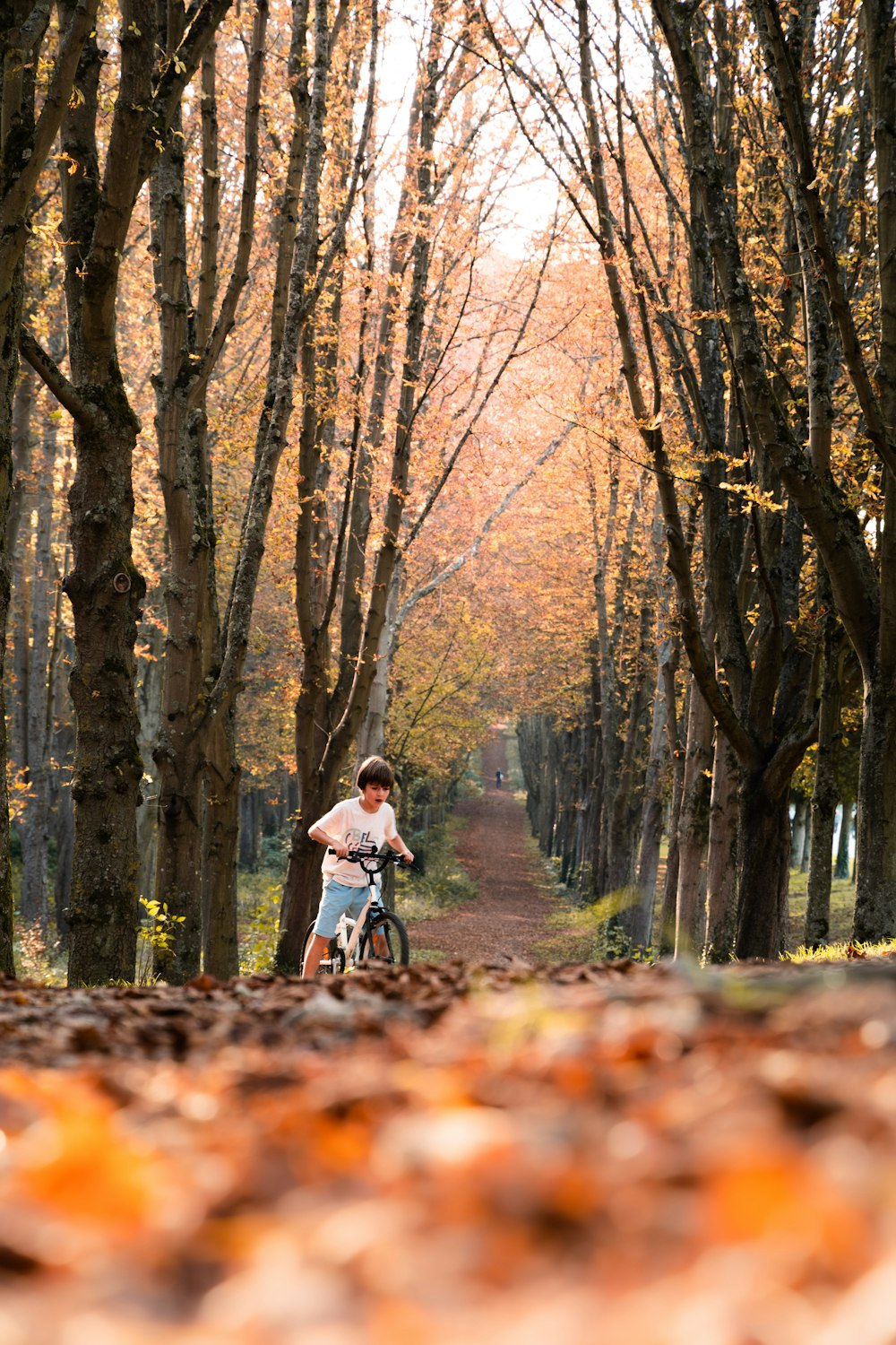 Un uomo che guida una bicicletta lungo una strada coperta di foglie