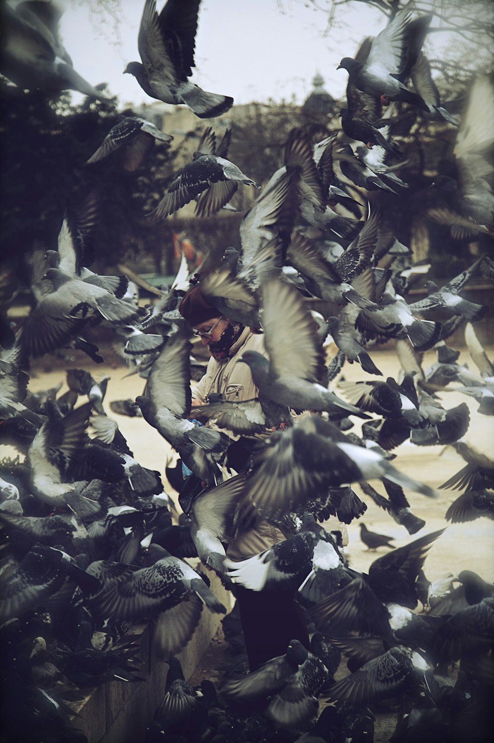 a man surrounded by a flock of birds