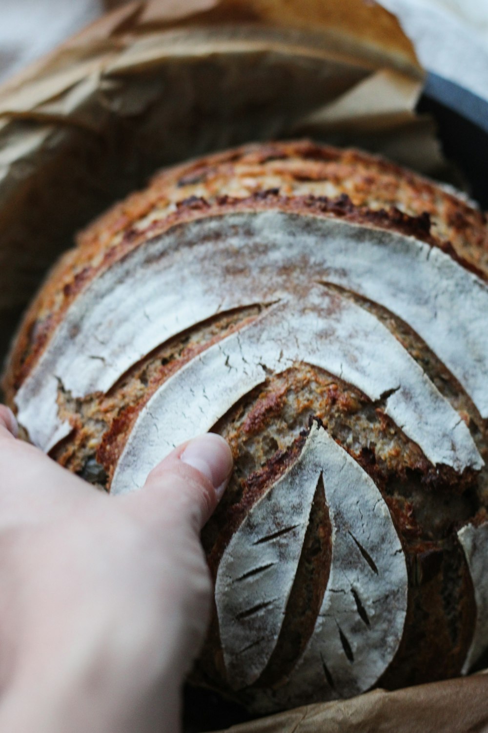 a close up of a person holding a loaf of bread