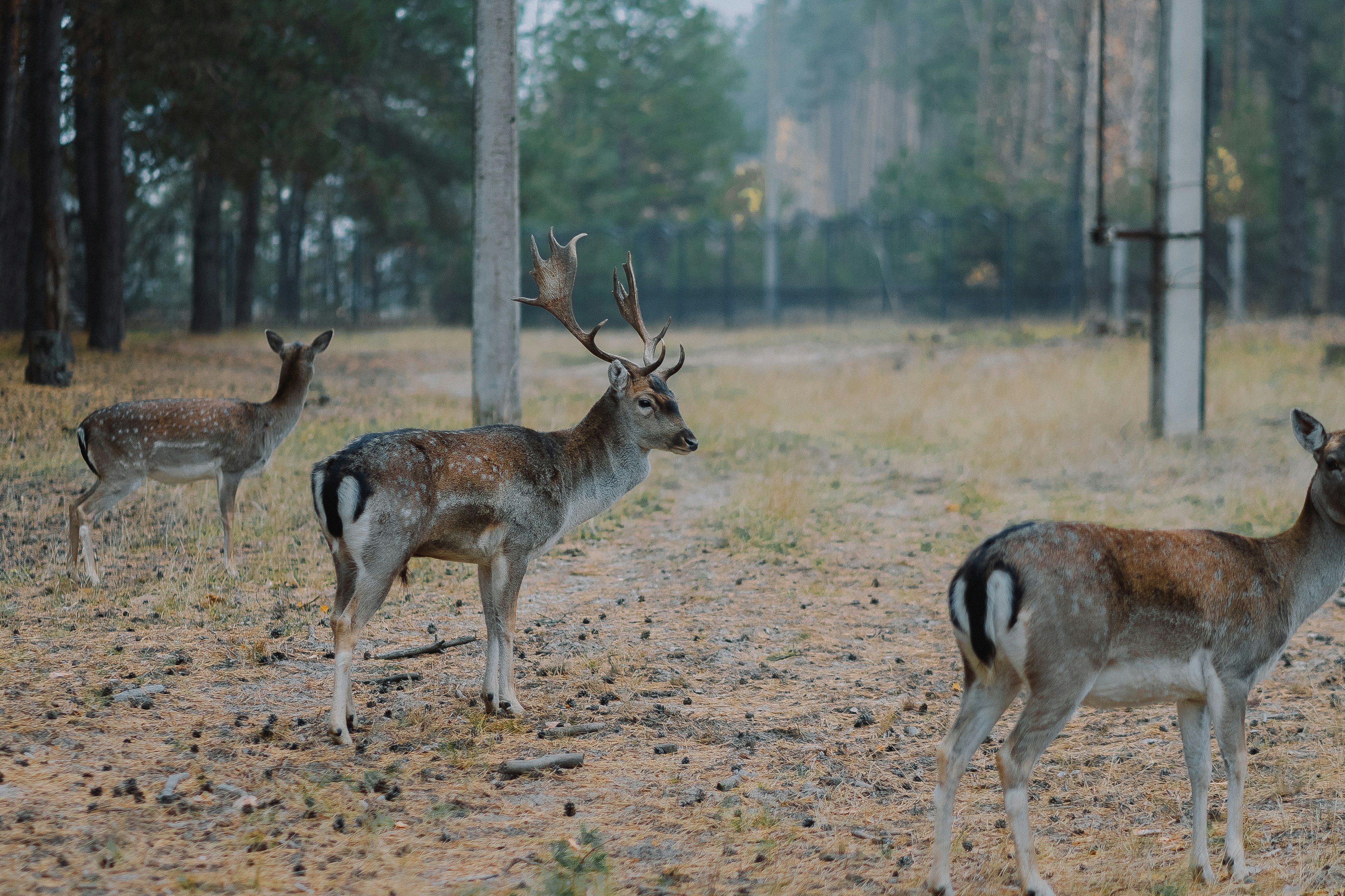 Photo by eugenechystiakov