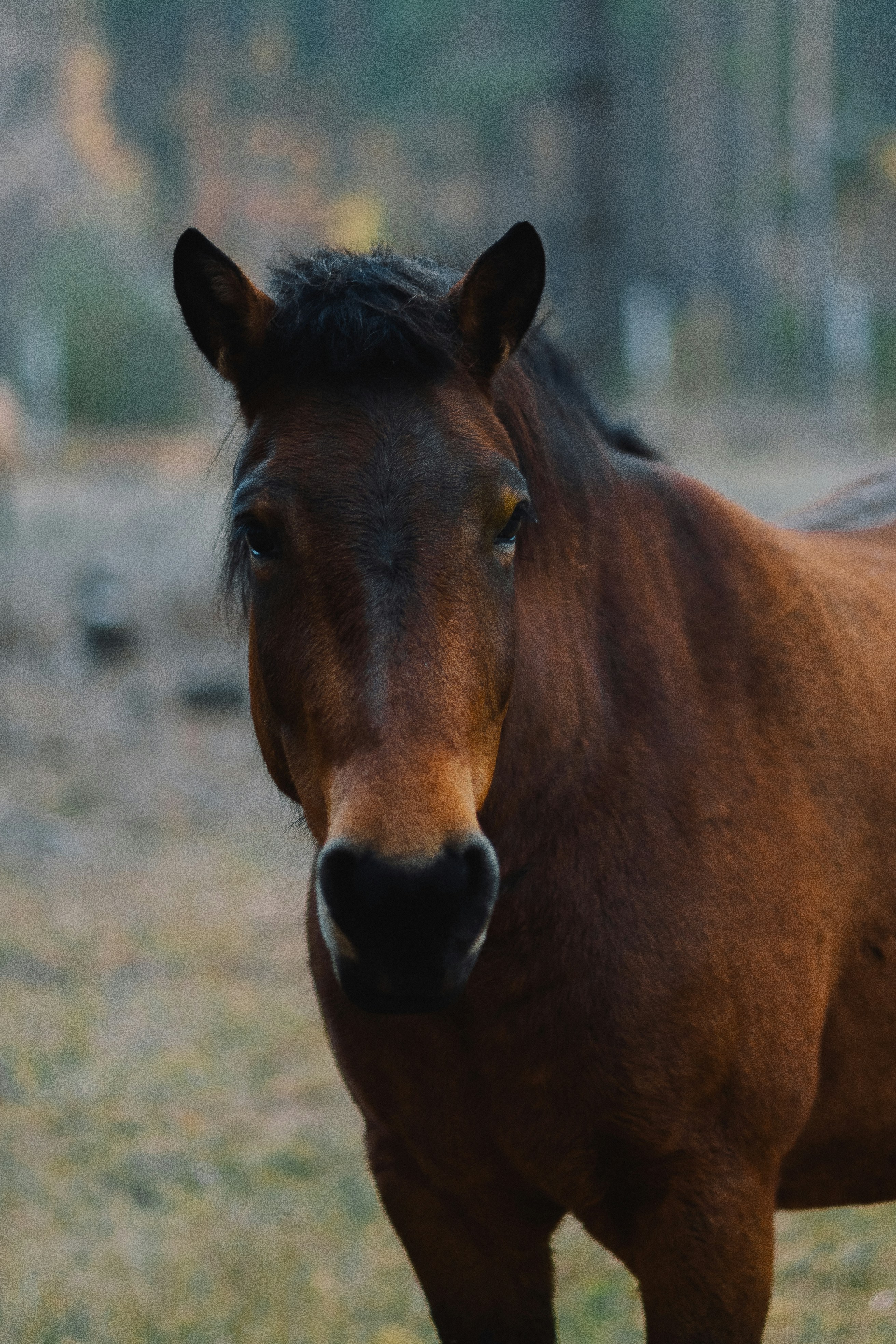 Photo by eugenechystiakov