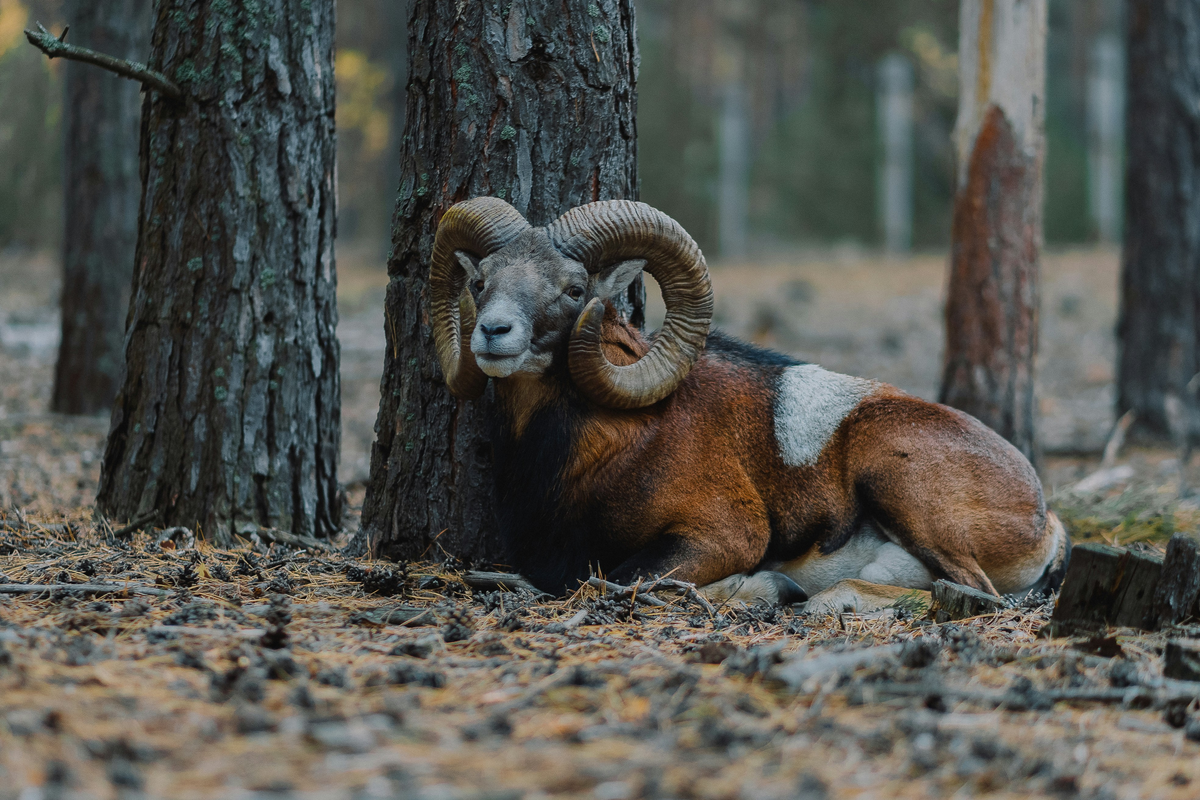 Photo by eugenechystiakov