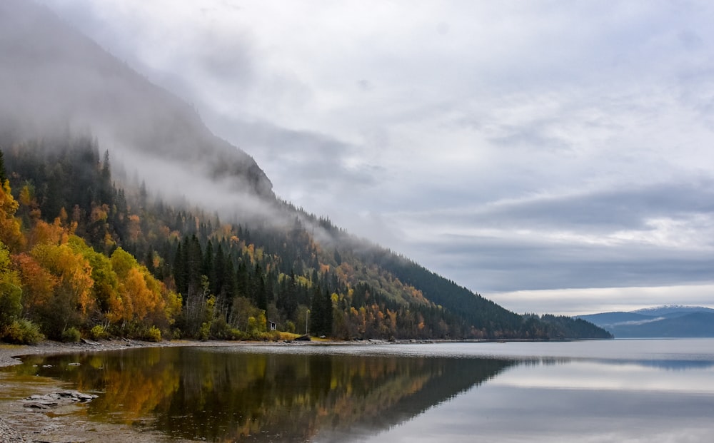 uno specchio d'acqua circondato da una foresta