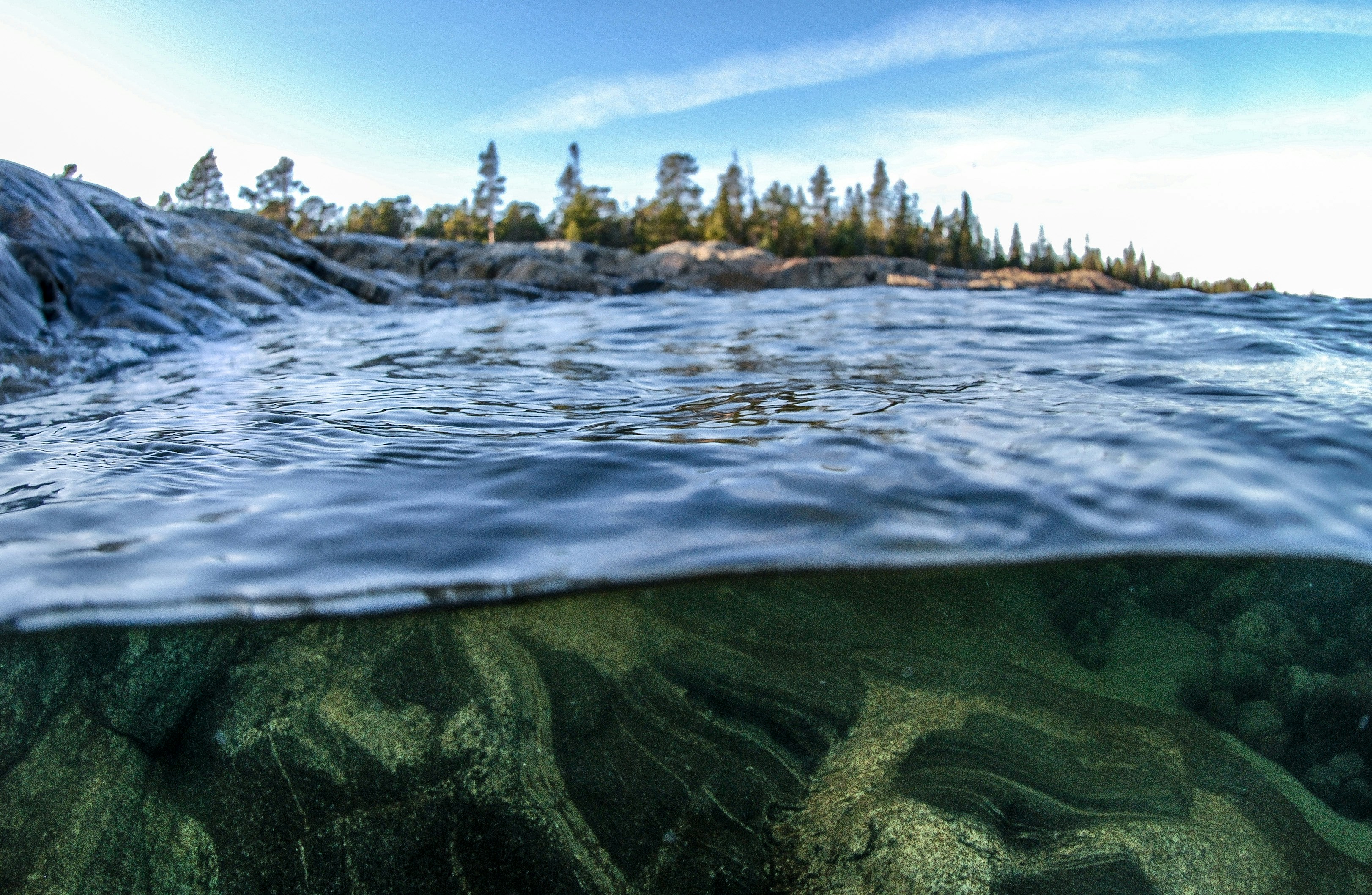 The Science of the Submerged Spruce Forest - Kaindy underwater forest Kazakhstan