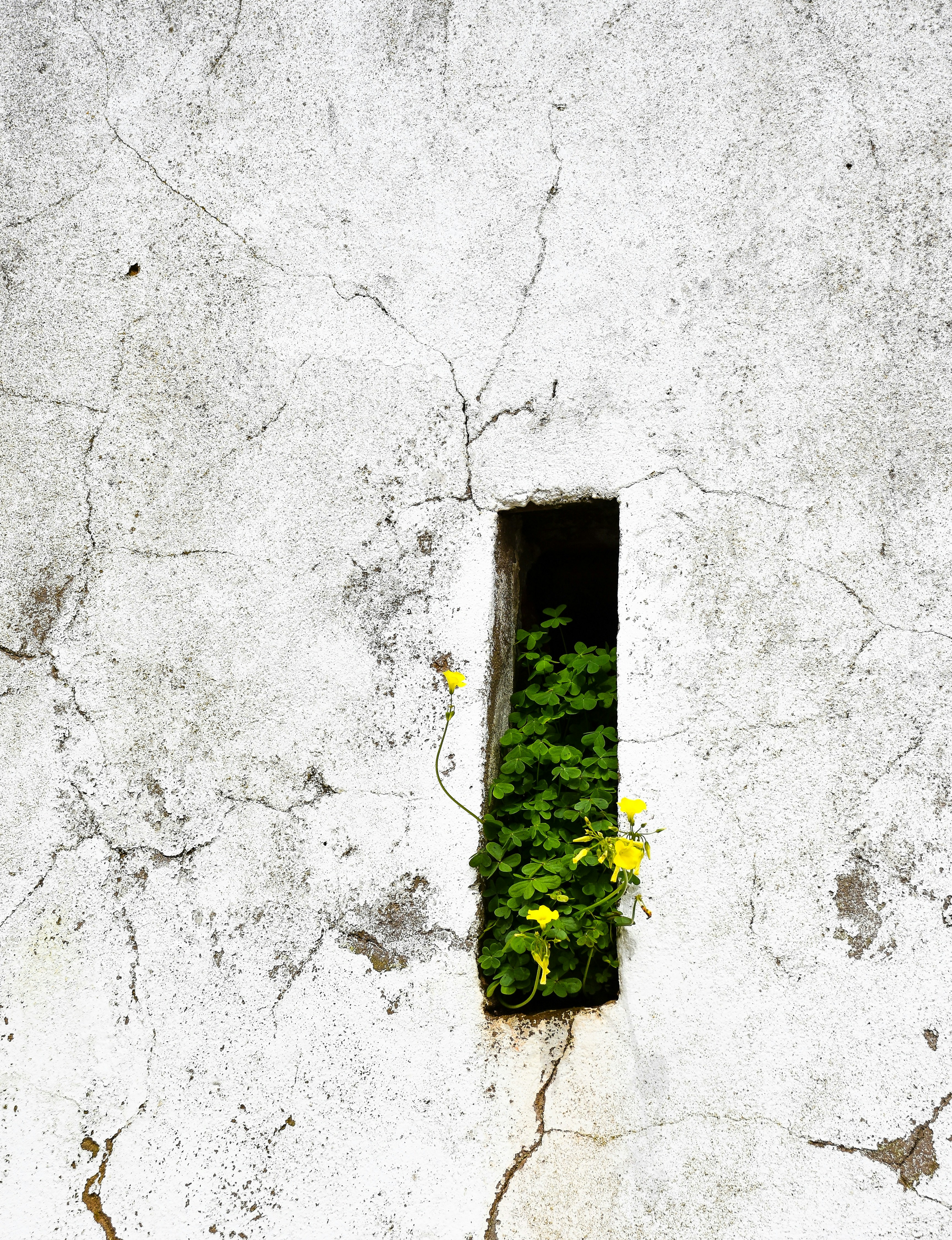 Photo by niklasjonasson