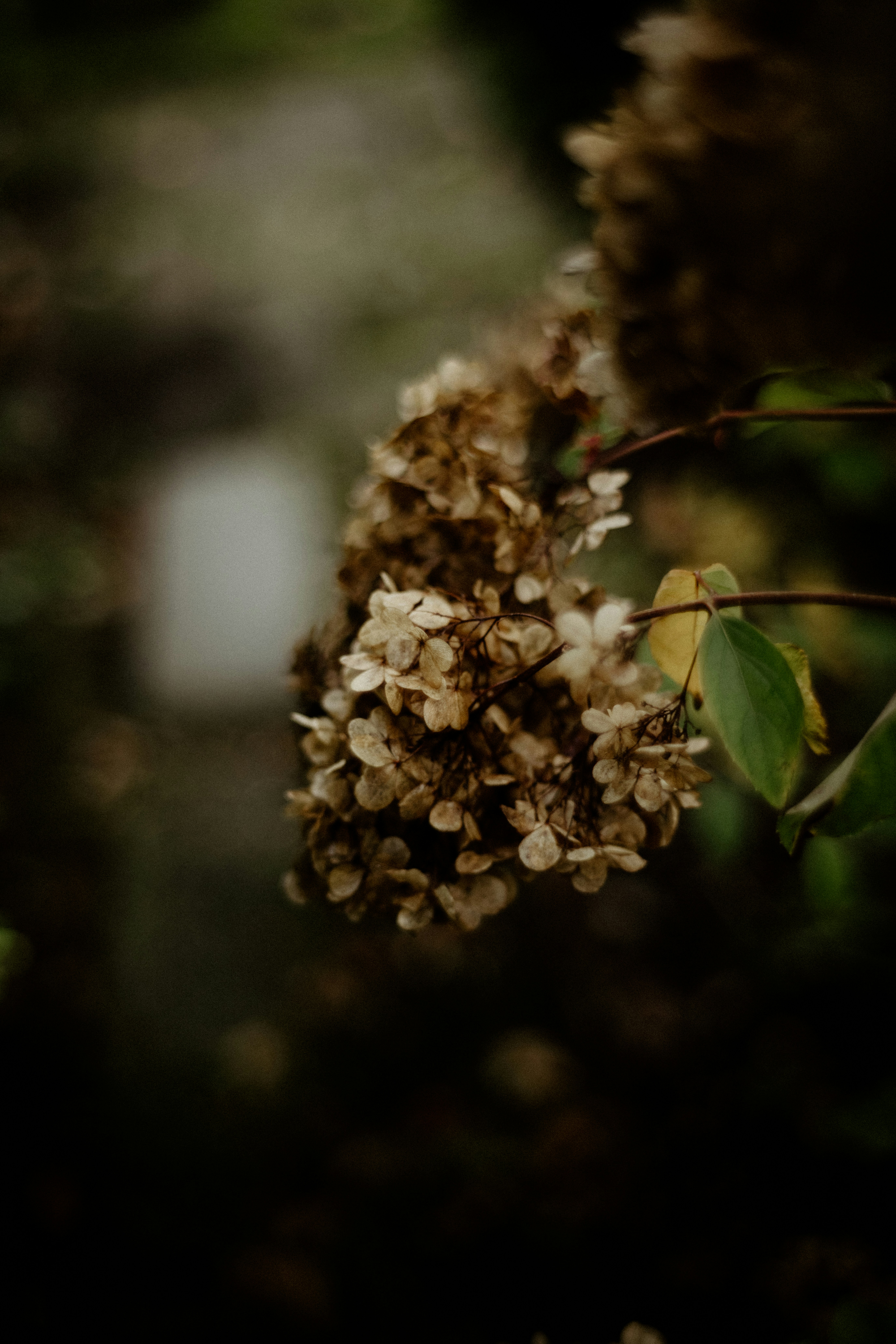 Photo by anniespratt