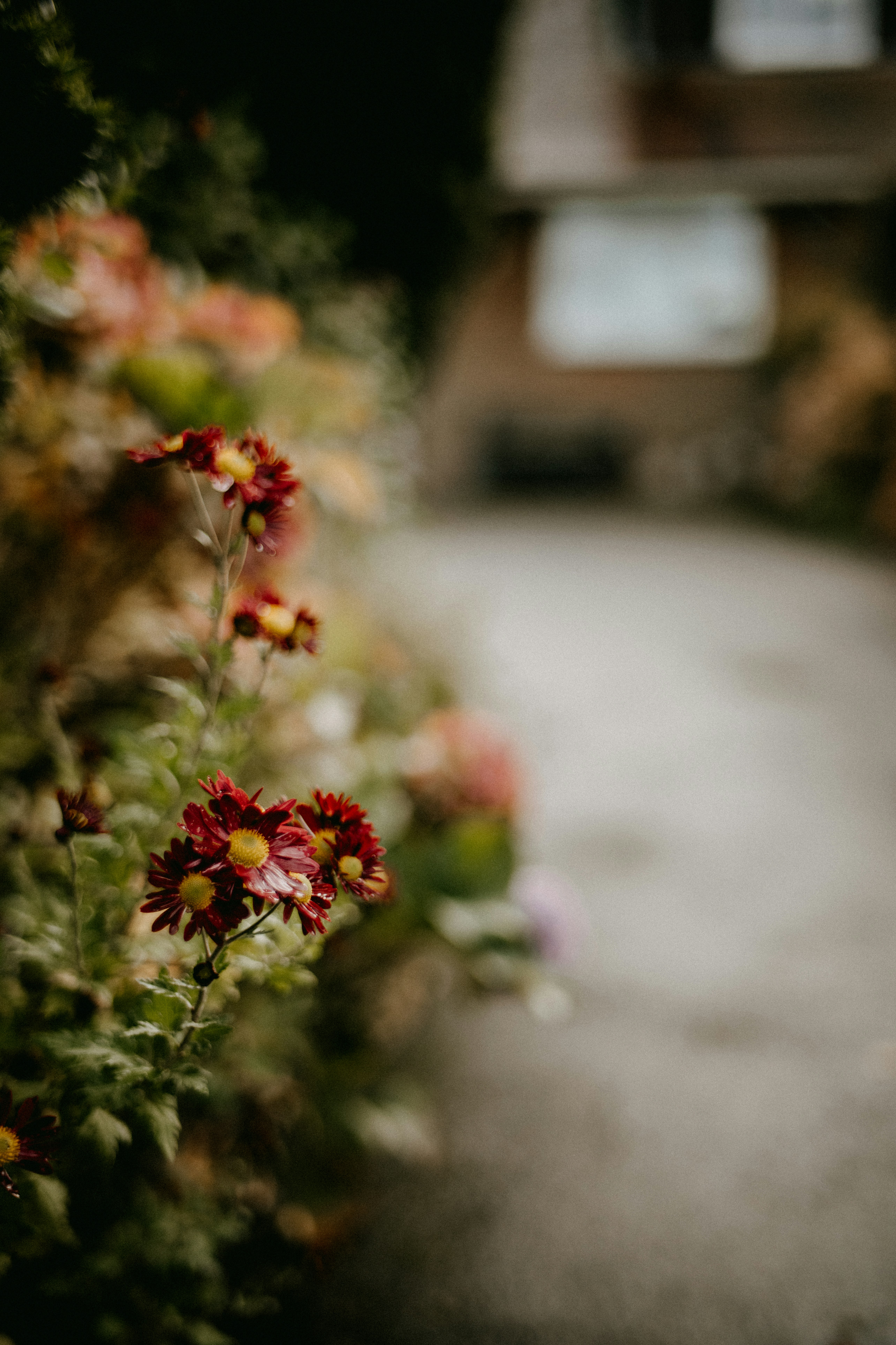 Photo by anniespratt