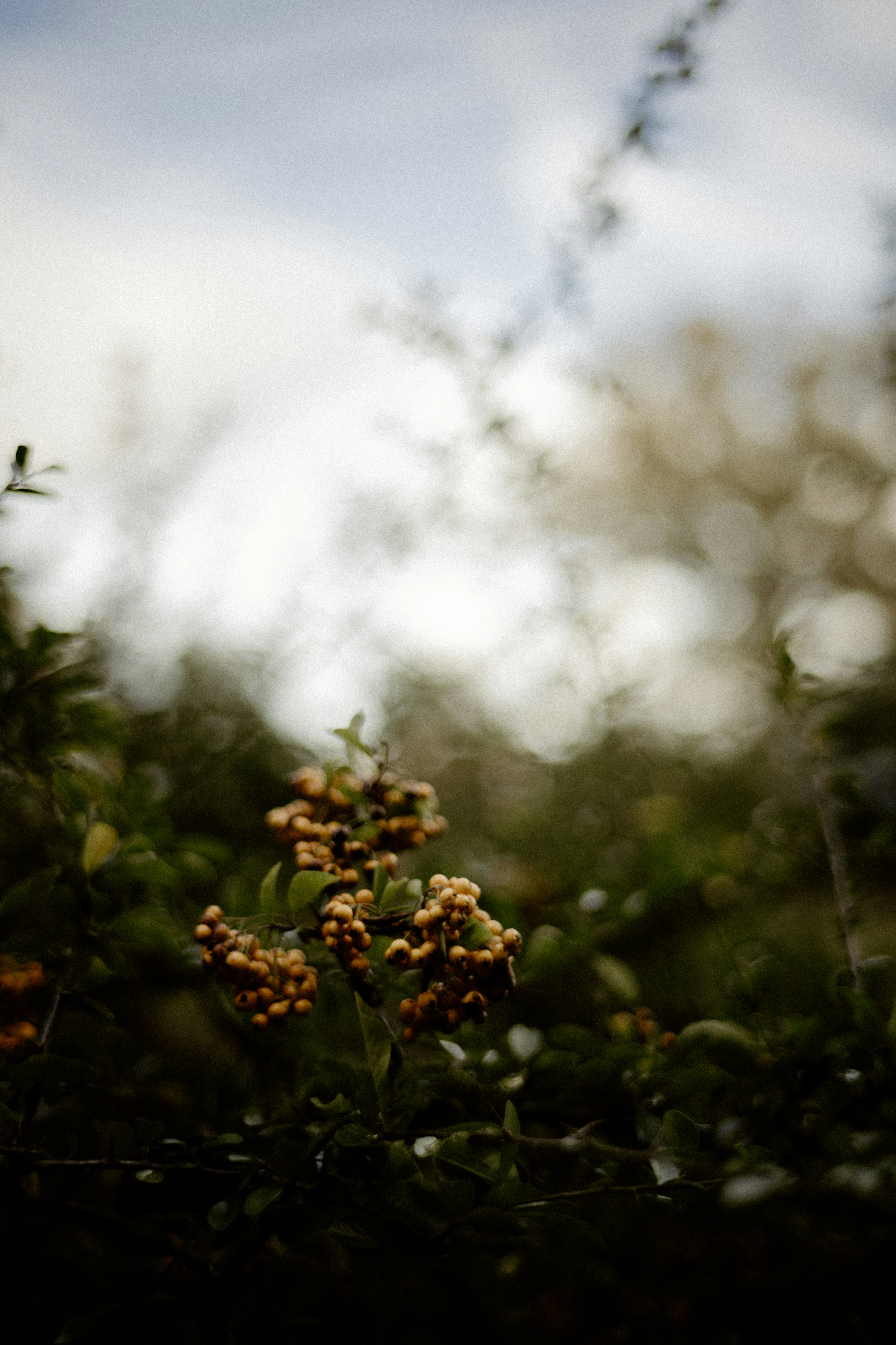 Photo by anniespratt