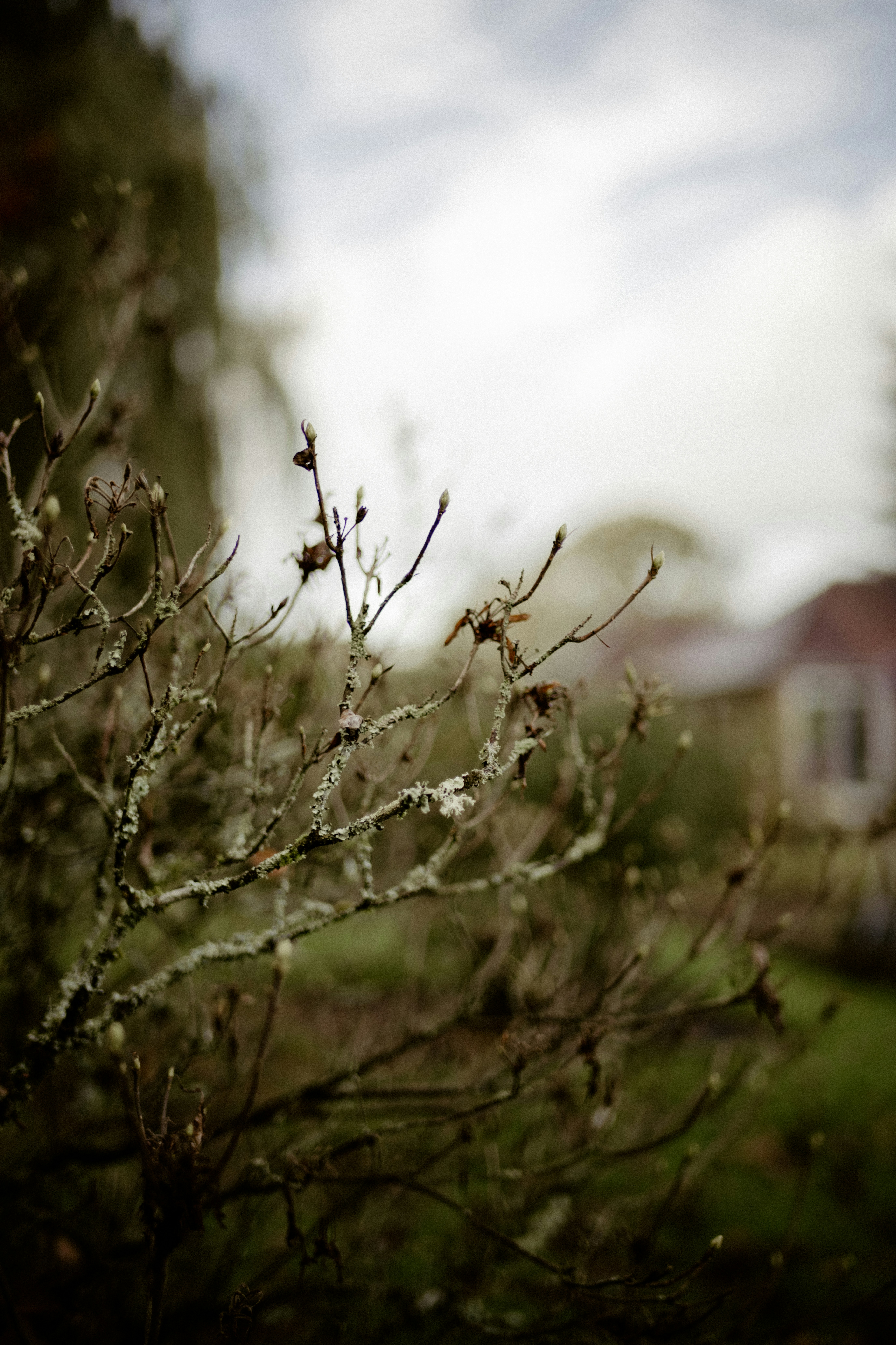 Photo by anniespratt