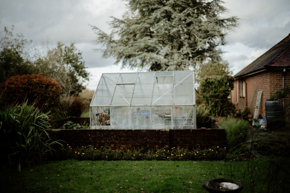 a small greenhouse in the middle of a garden