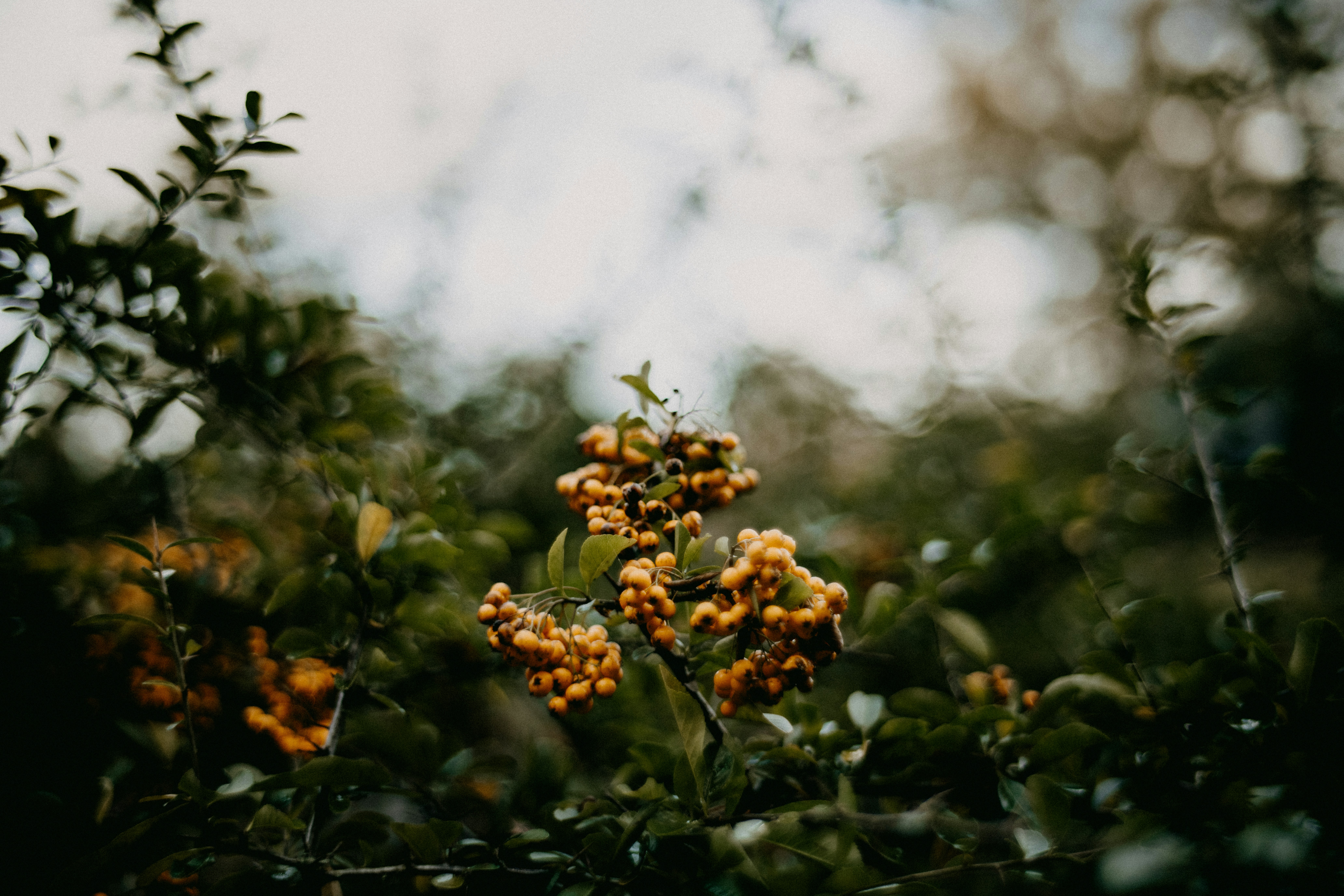 Photo by anniespratt