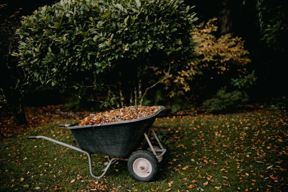 Tuin opruimen