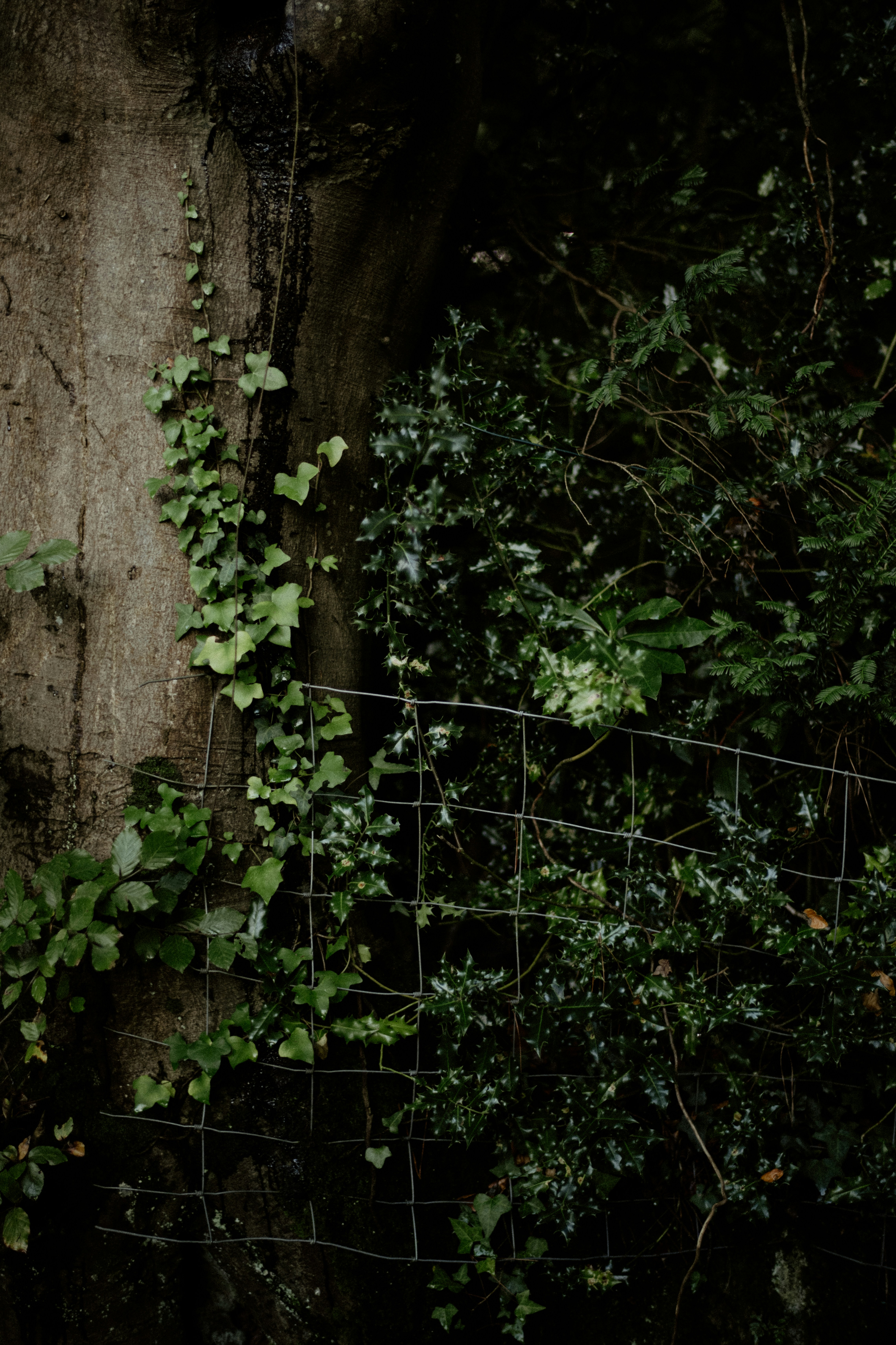 Photo by anniespratt