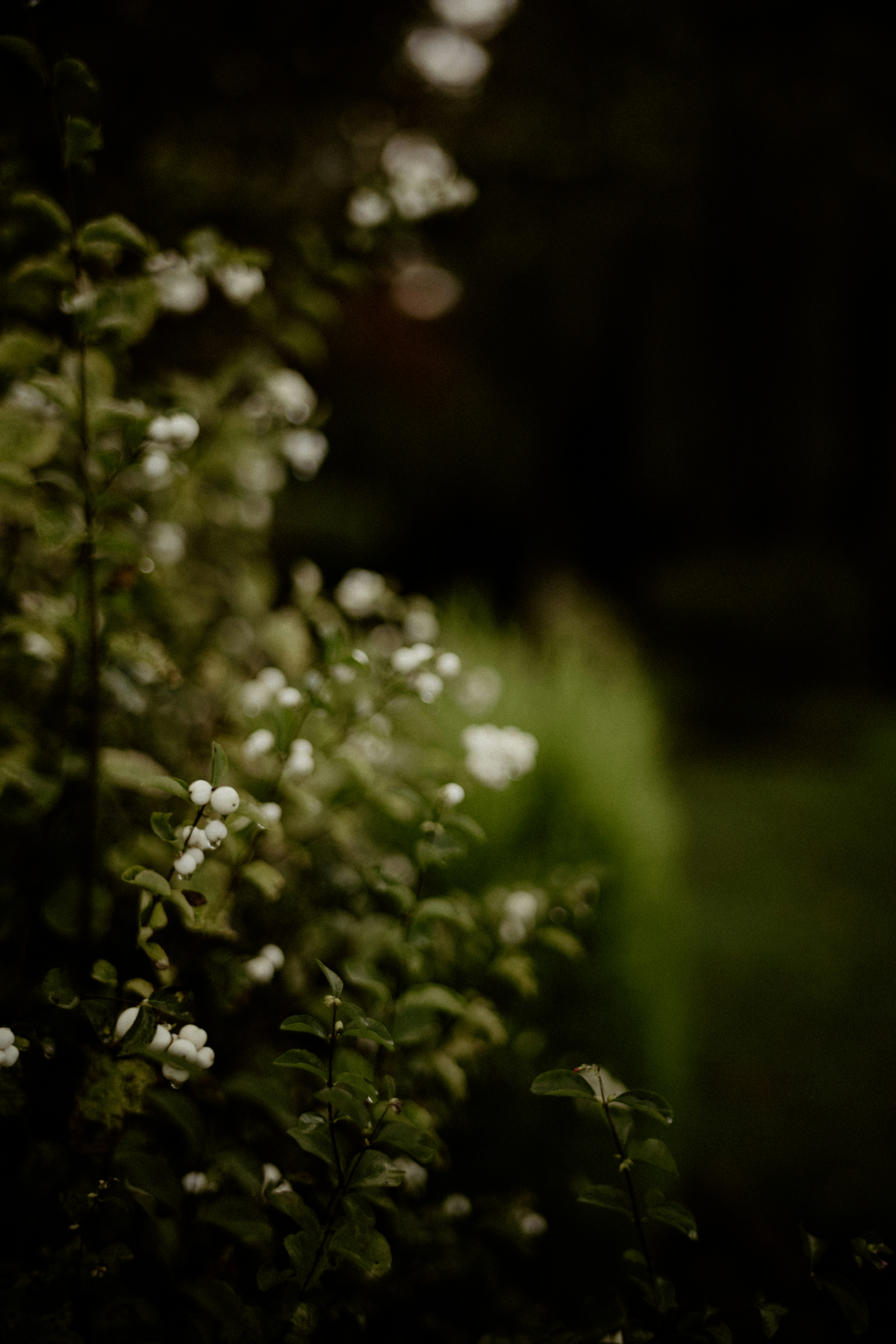 Photo by anniespratt