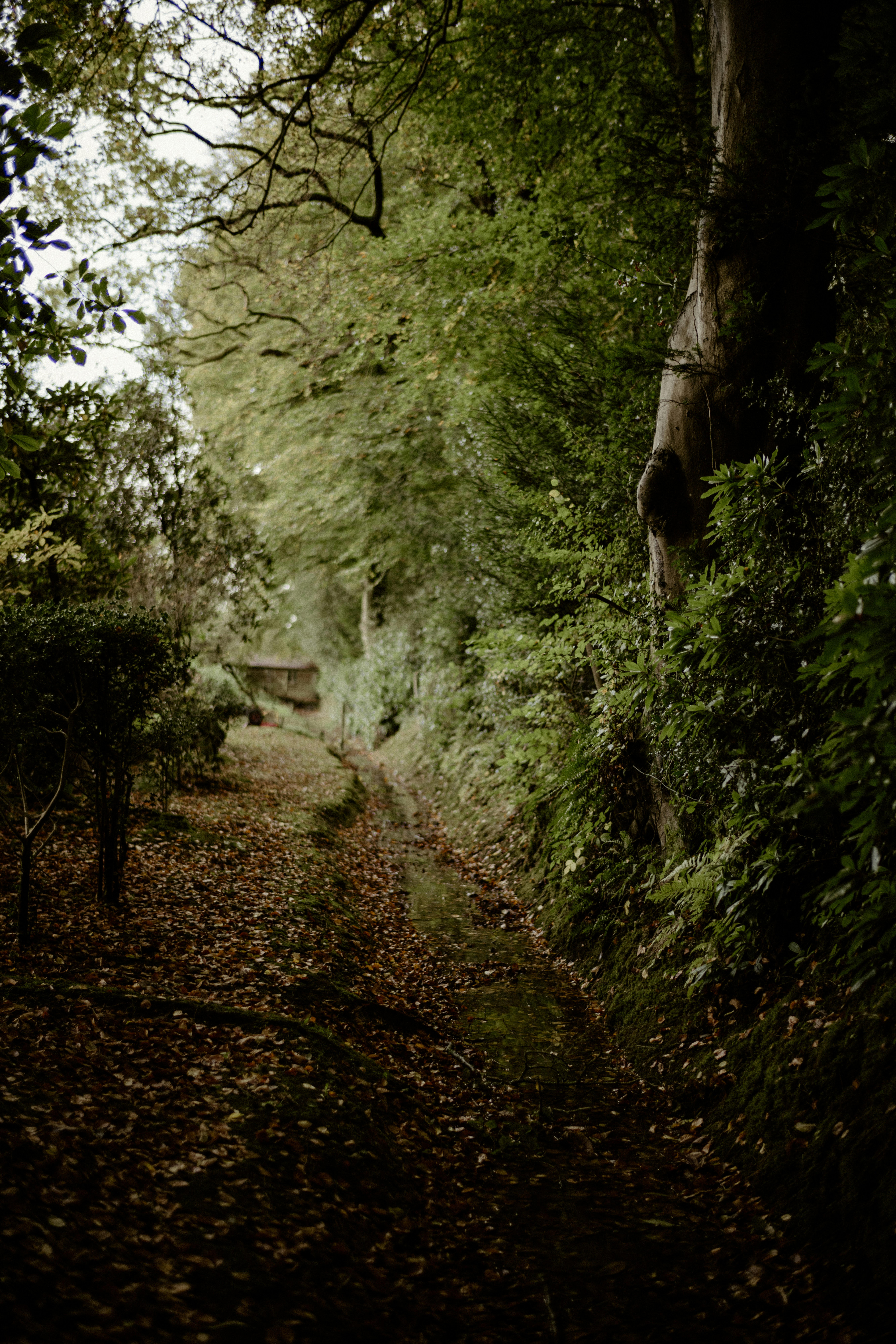 Photo by anniespratt