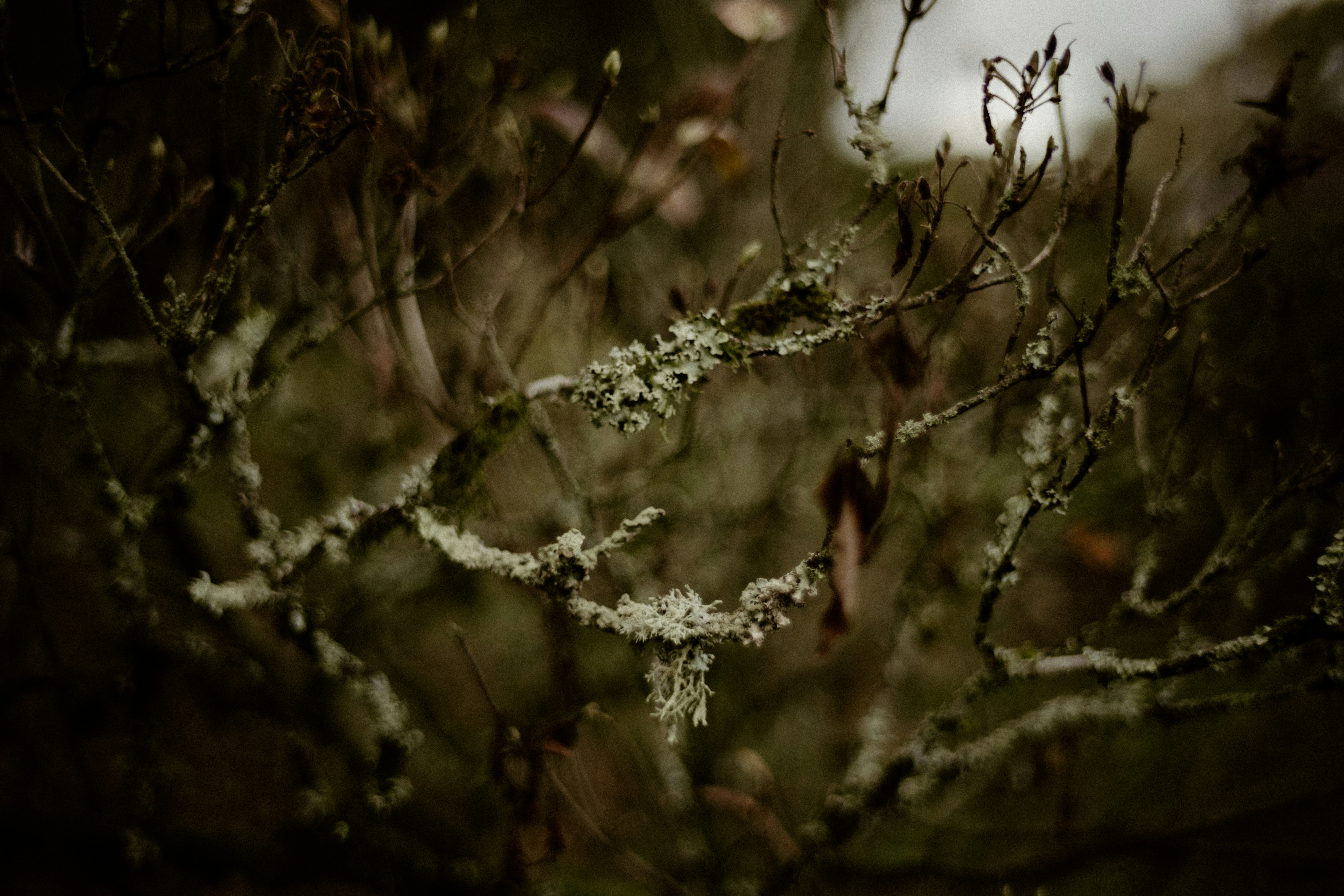 Photo by anniespratt