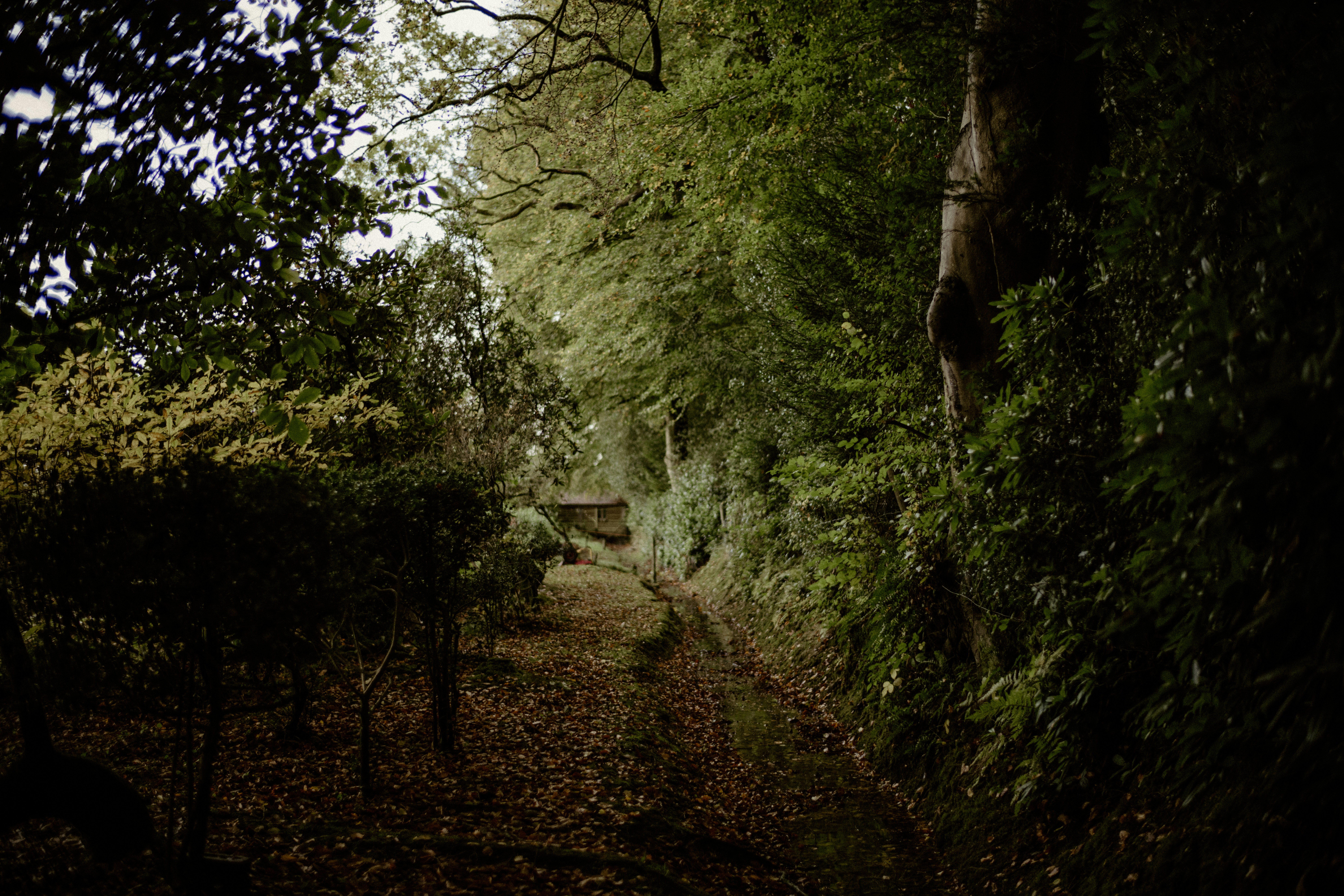 Photo by anniespratt