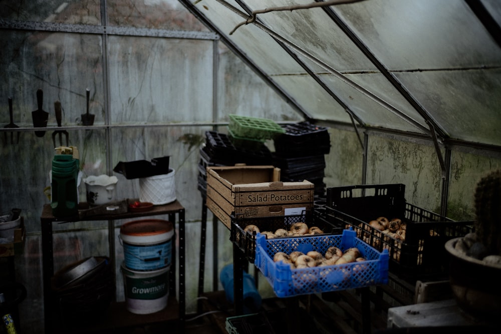 a room with a bunch of food inside of it