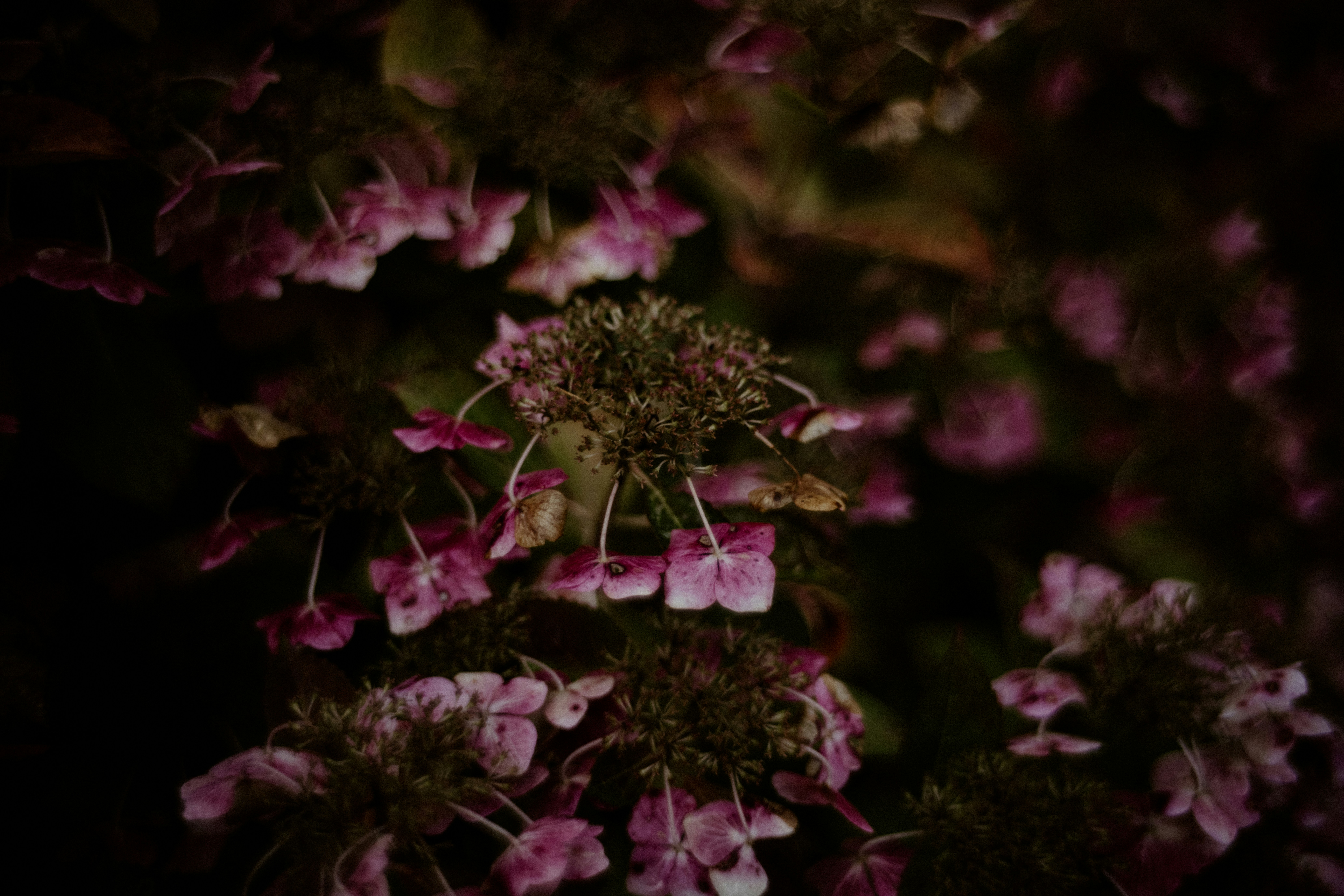 Photo by anniespratt