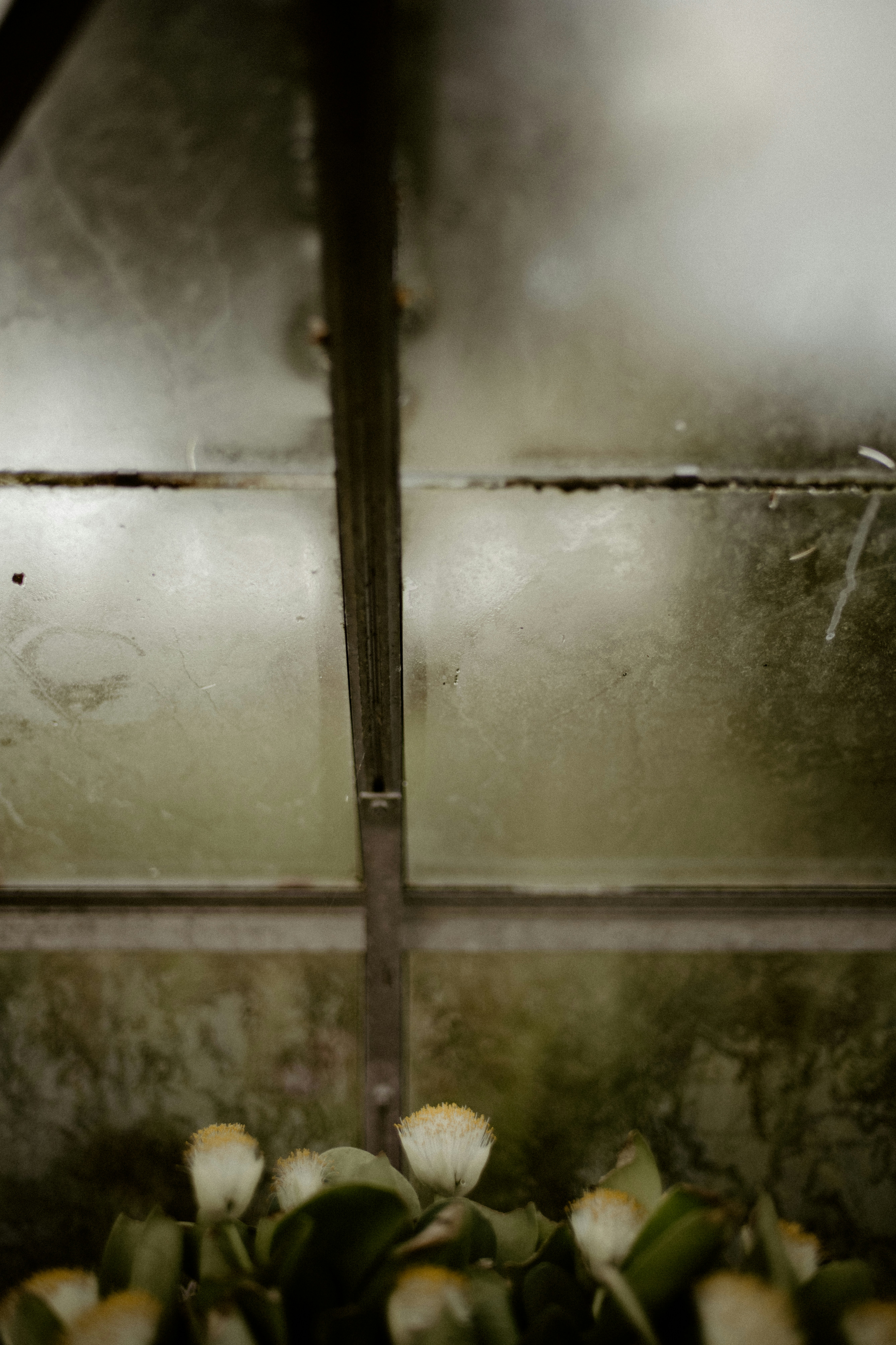 Photo by anniespratt