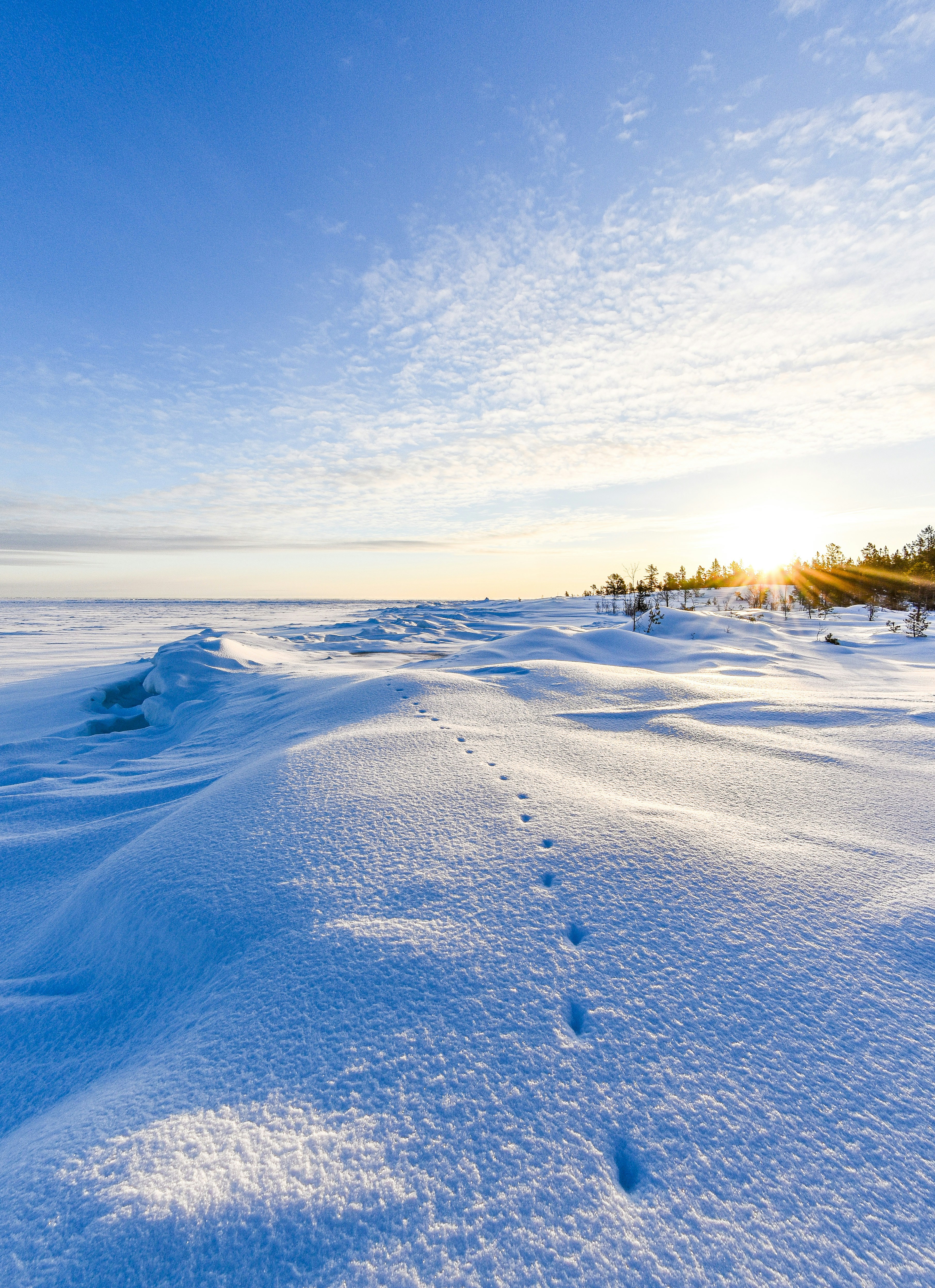 Photo by niklasjonasson