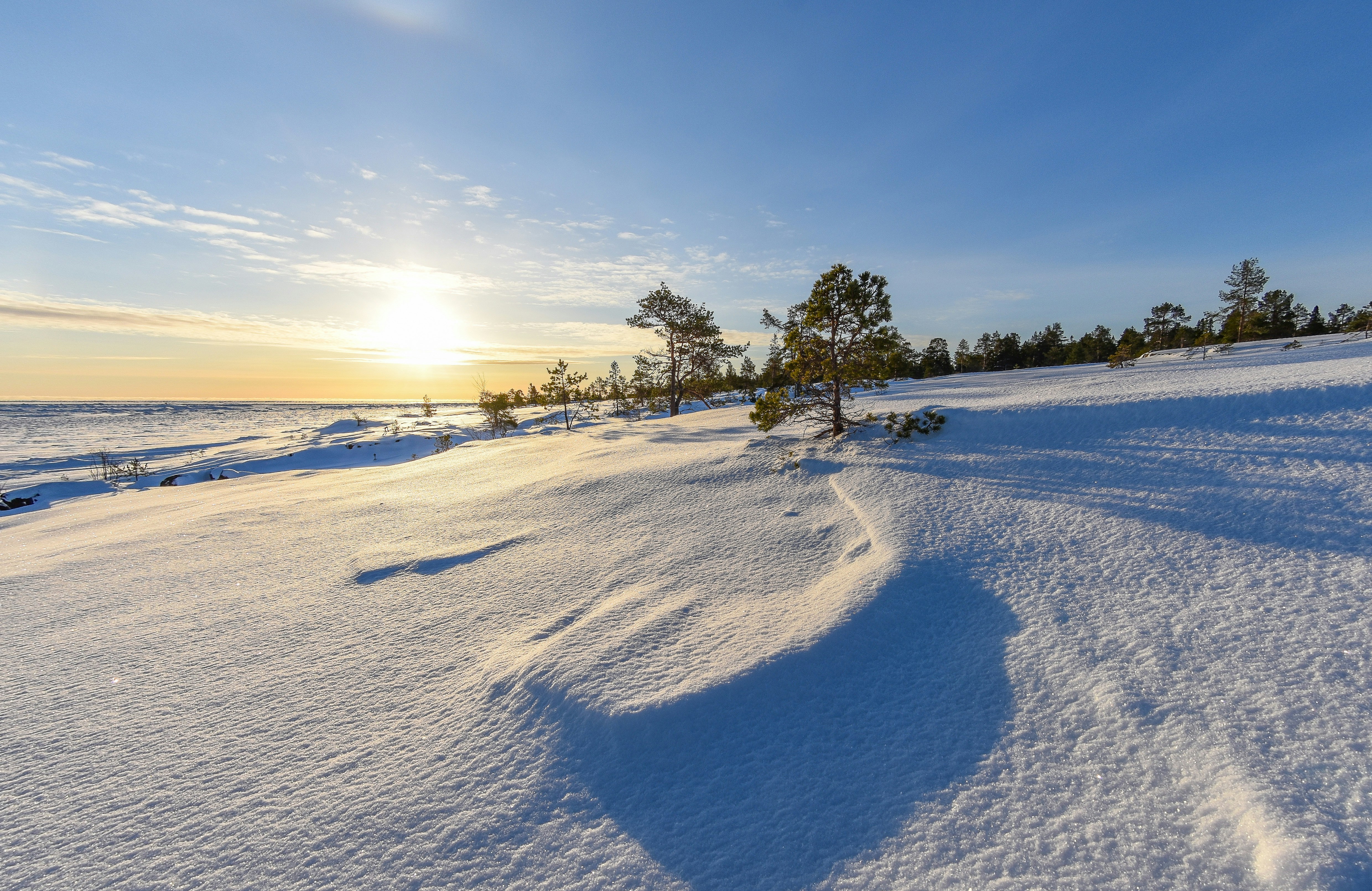 Photo by niklasjonasson