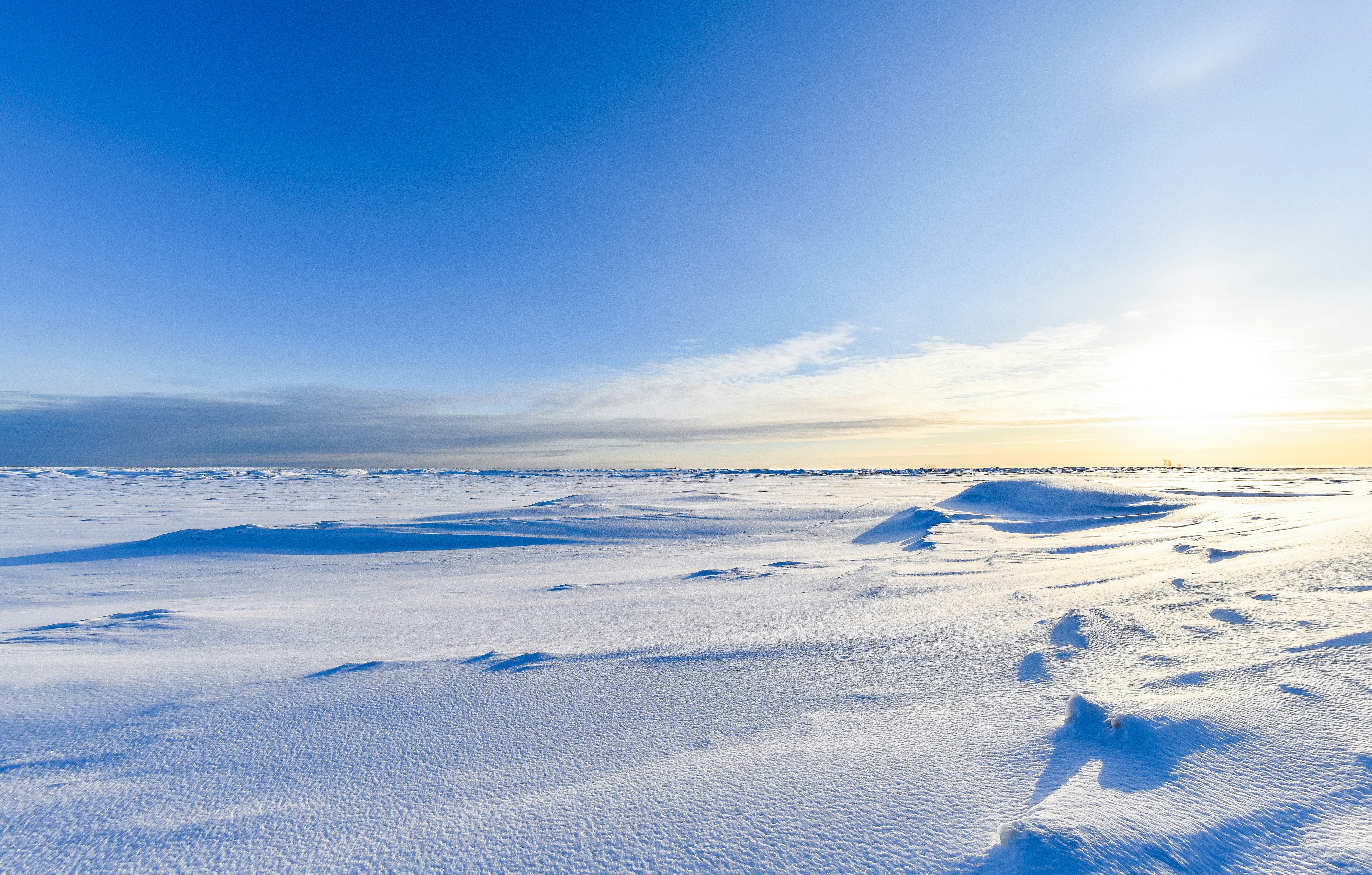 Photo by niklasjonasson