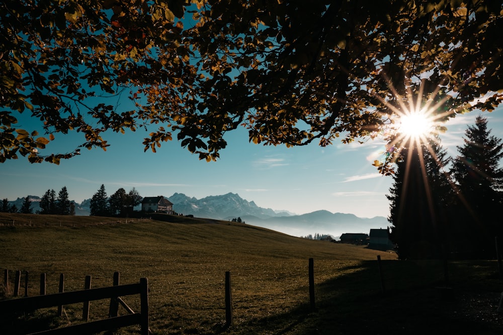 the sun shines brightly through the trees on a hill