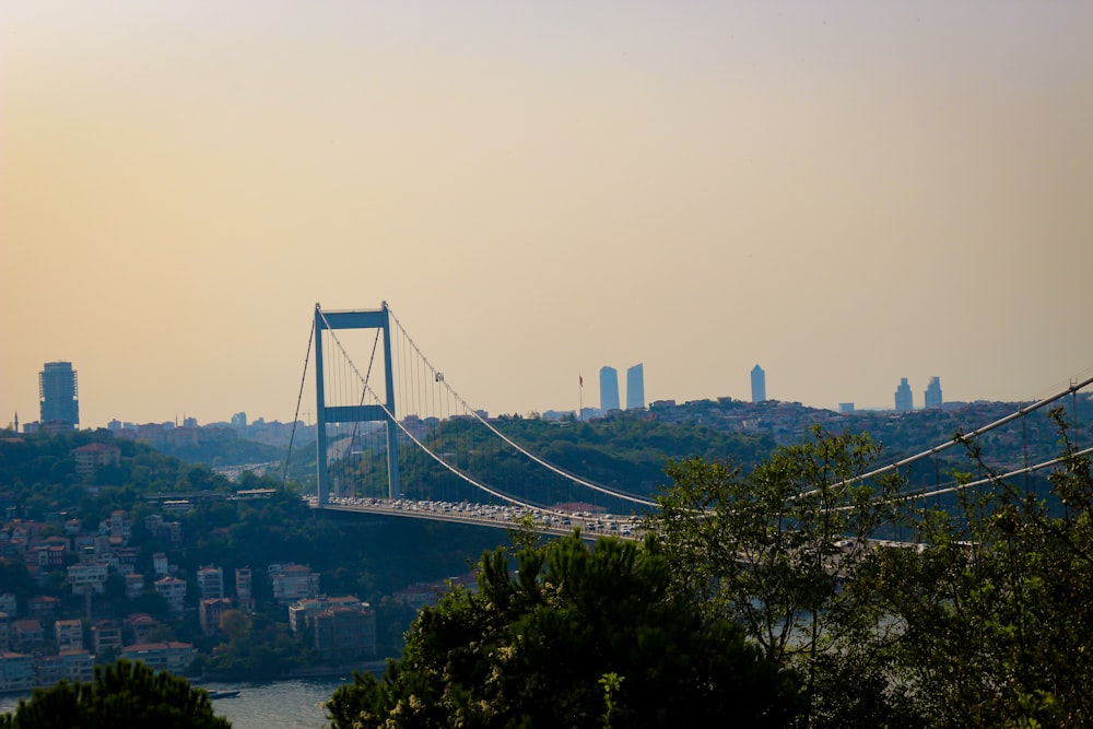 a view of a bridge with a city in the background