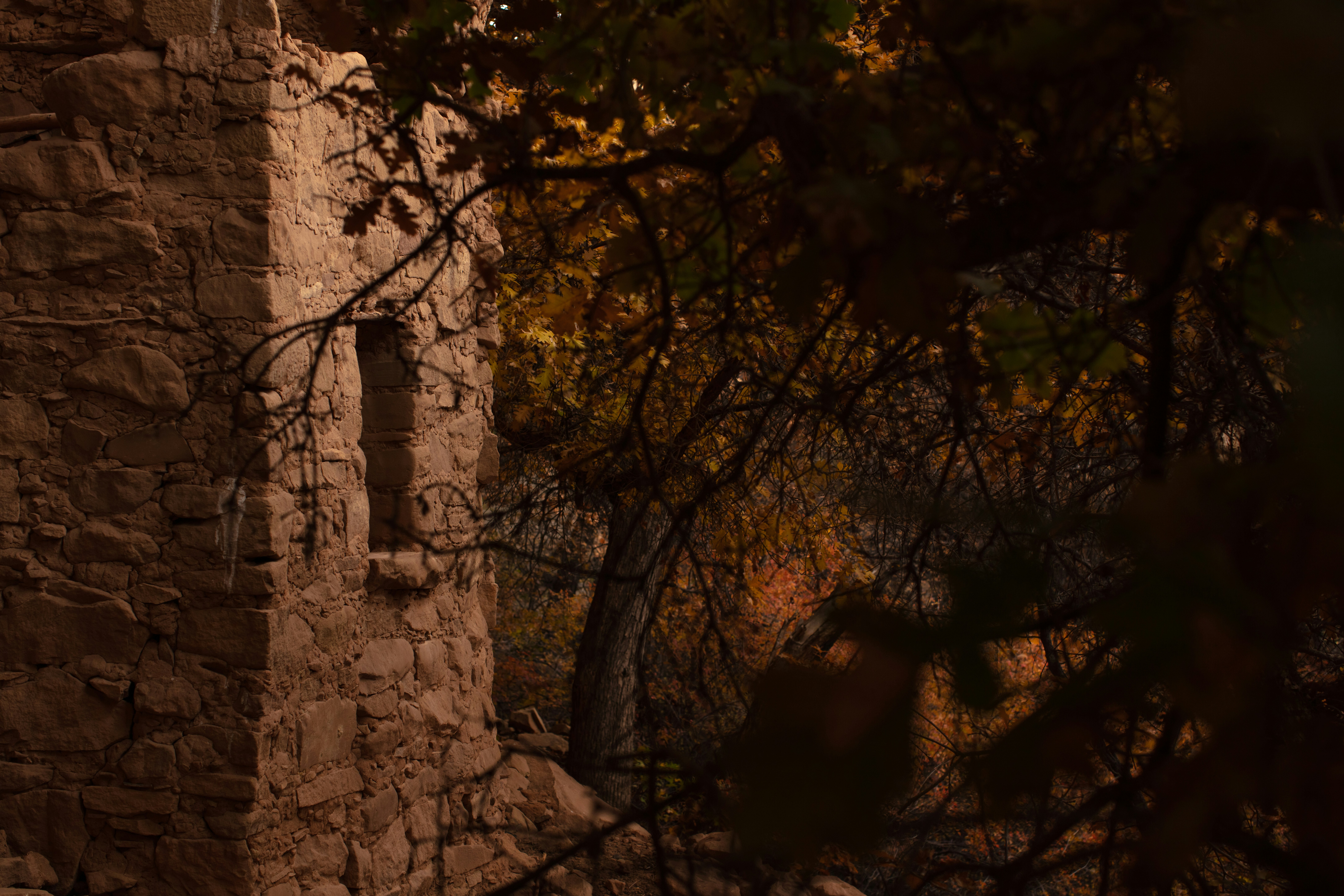 Photo by worldsbetweenlines