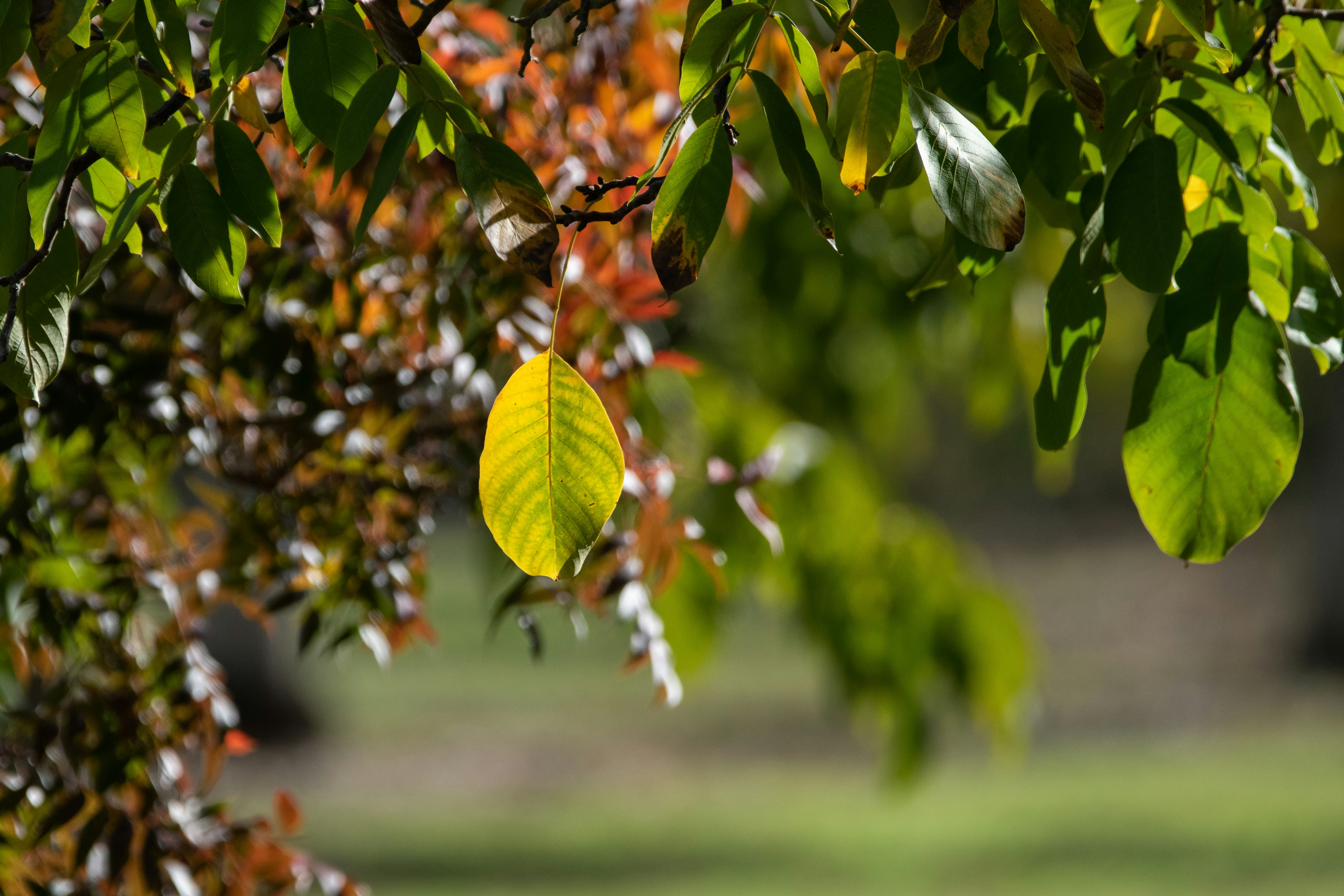 Photo by elisastonephotography