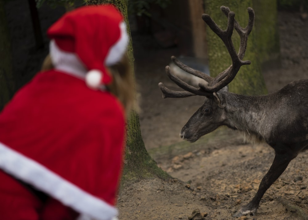 Eine Person, die als Weihnachtsmann verkleidet ist und ein Rentier anschaut