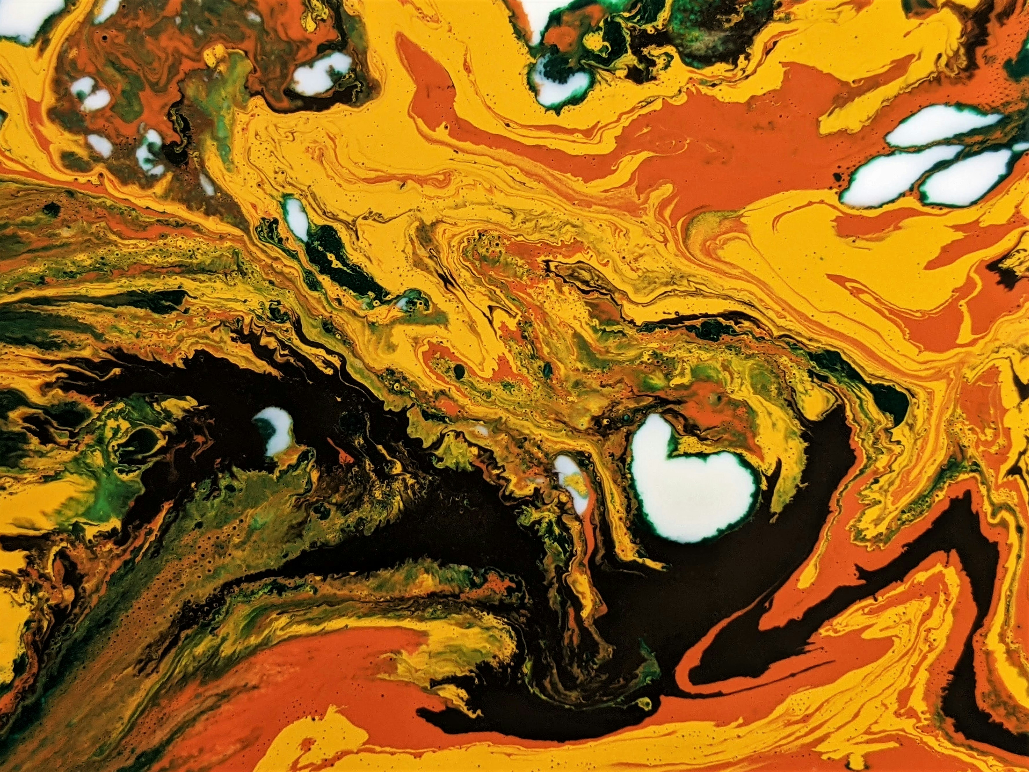 Photo by susan_wilkinson