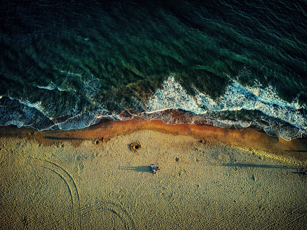 an aerial view of a sandy beach and ocean