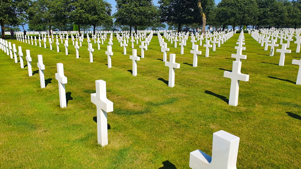a field full of white crosses sitting in the grass