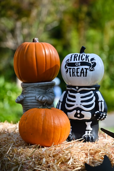 Three pumpkins are arranged on a bed of hay. One is uncarved and placed at the bottom, another is stacked on a figure resembling a mummy with an orange pumpkin on its head, and the third is a white pumpkin with 'TRICK OR TREAT' written on it, placed on a figure with a skeleton body. The background is a garden with green foliage.
