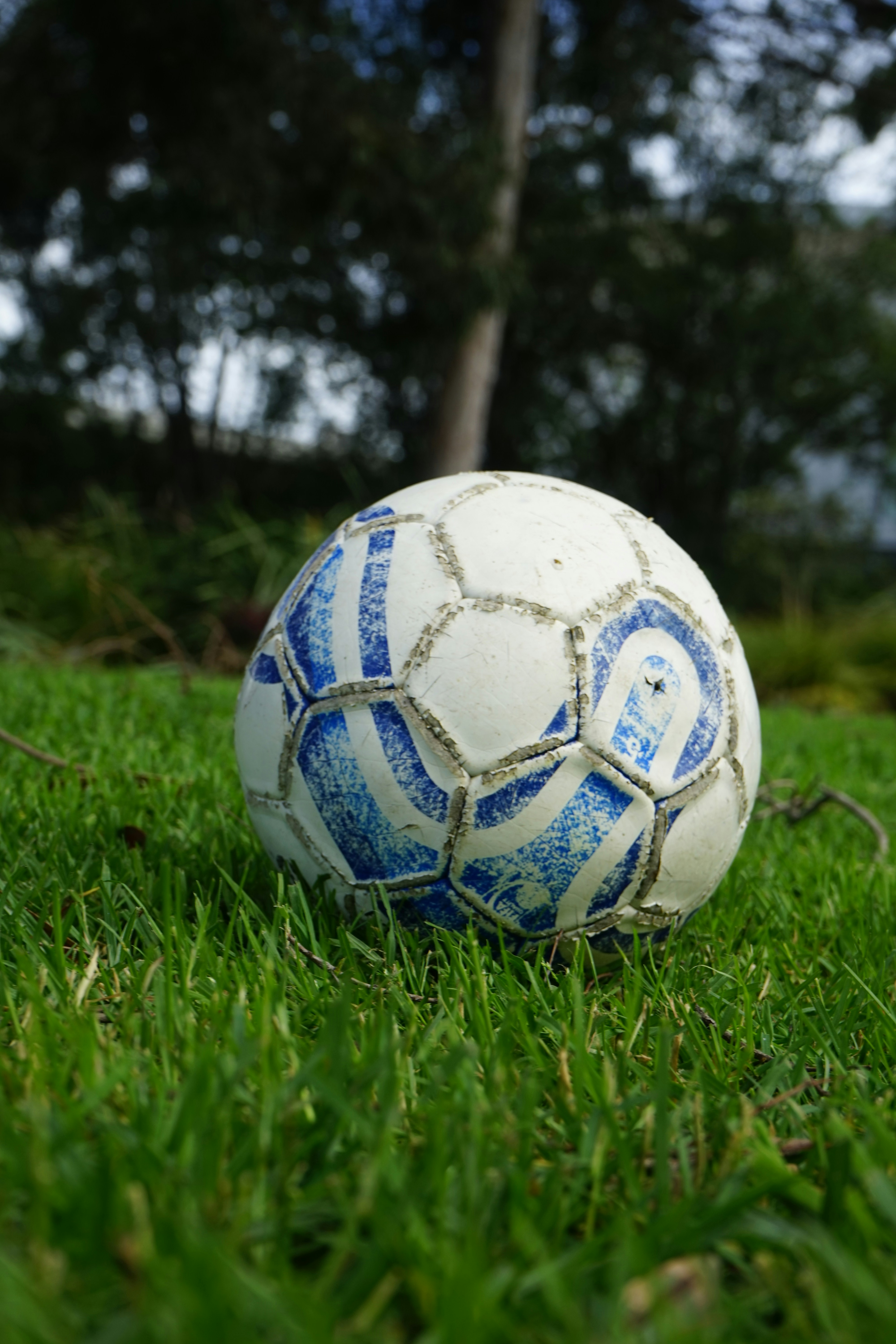 Soccer ball on grass