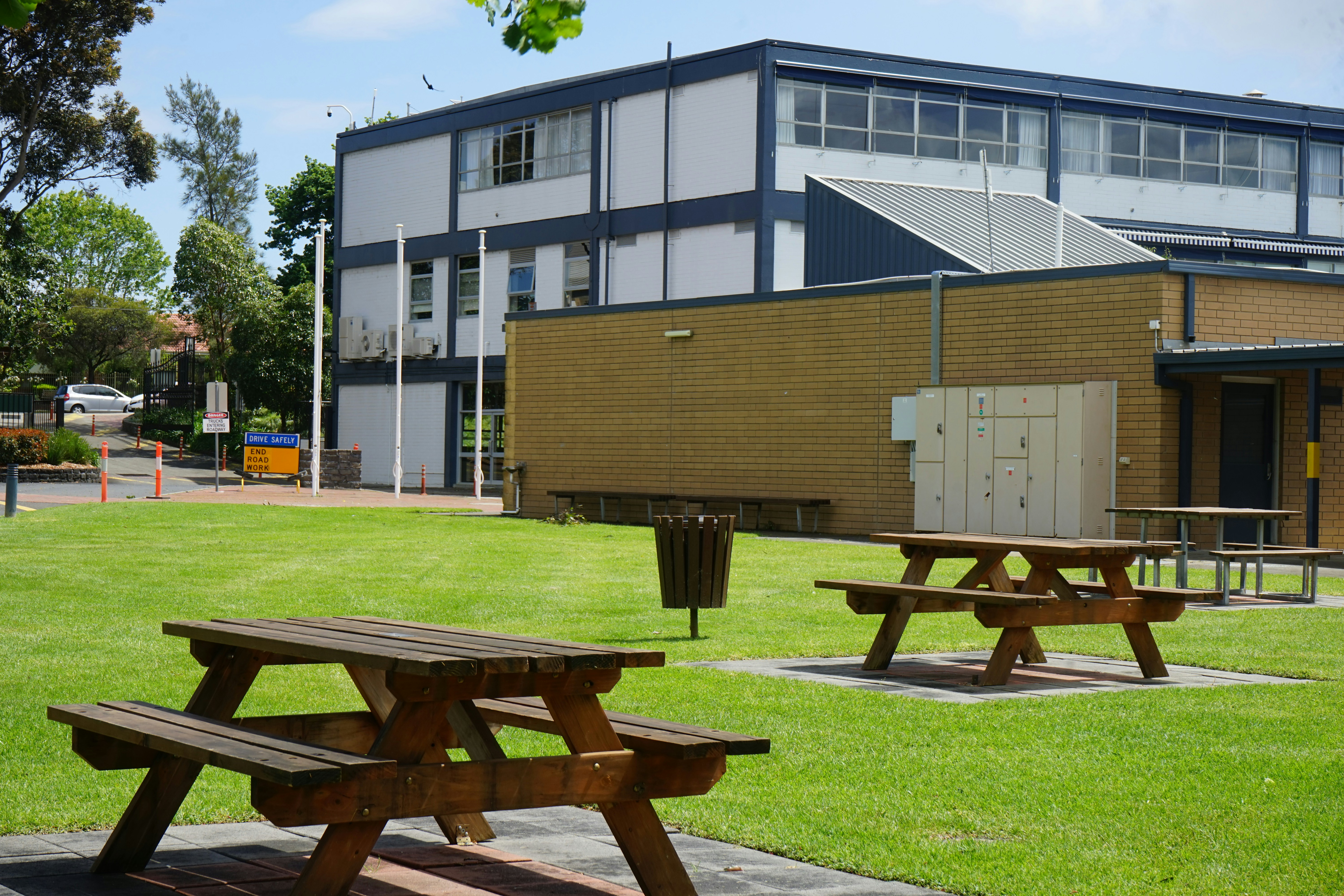 Bright School Greenery