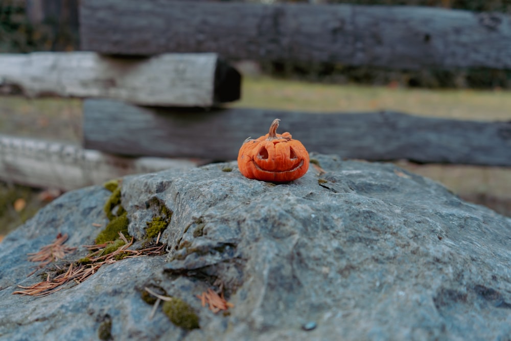 a small pumpkin sitting on top of a rock