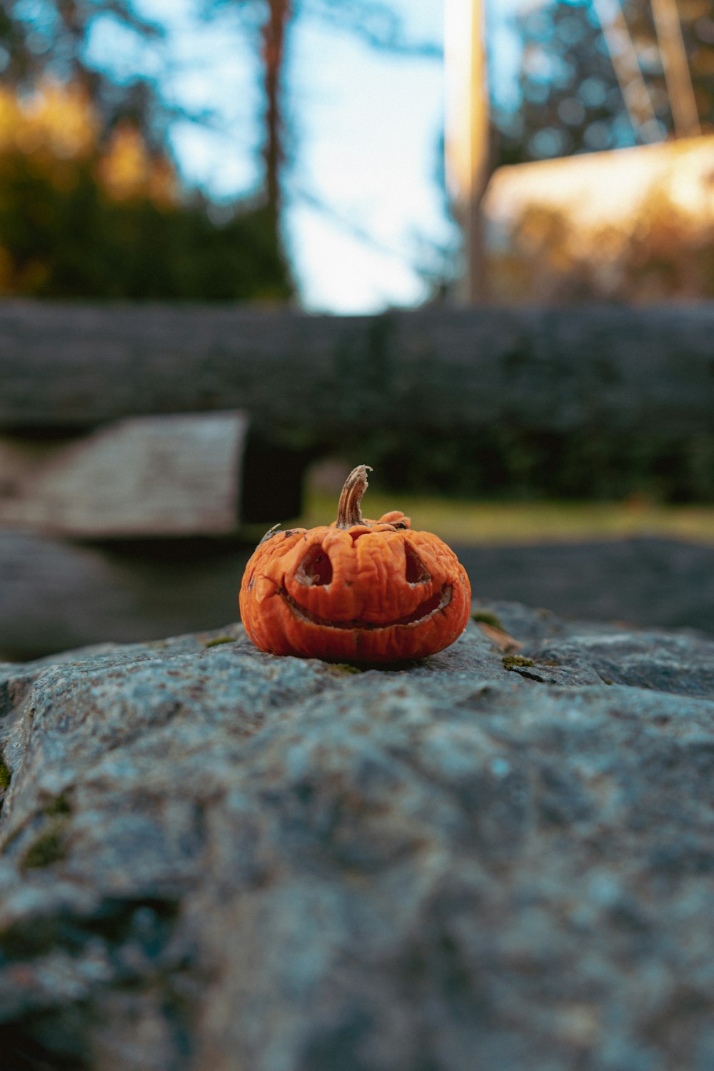 a small pumpkin sitting on top of a rock