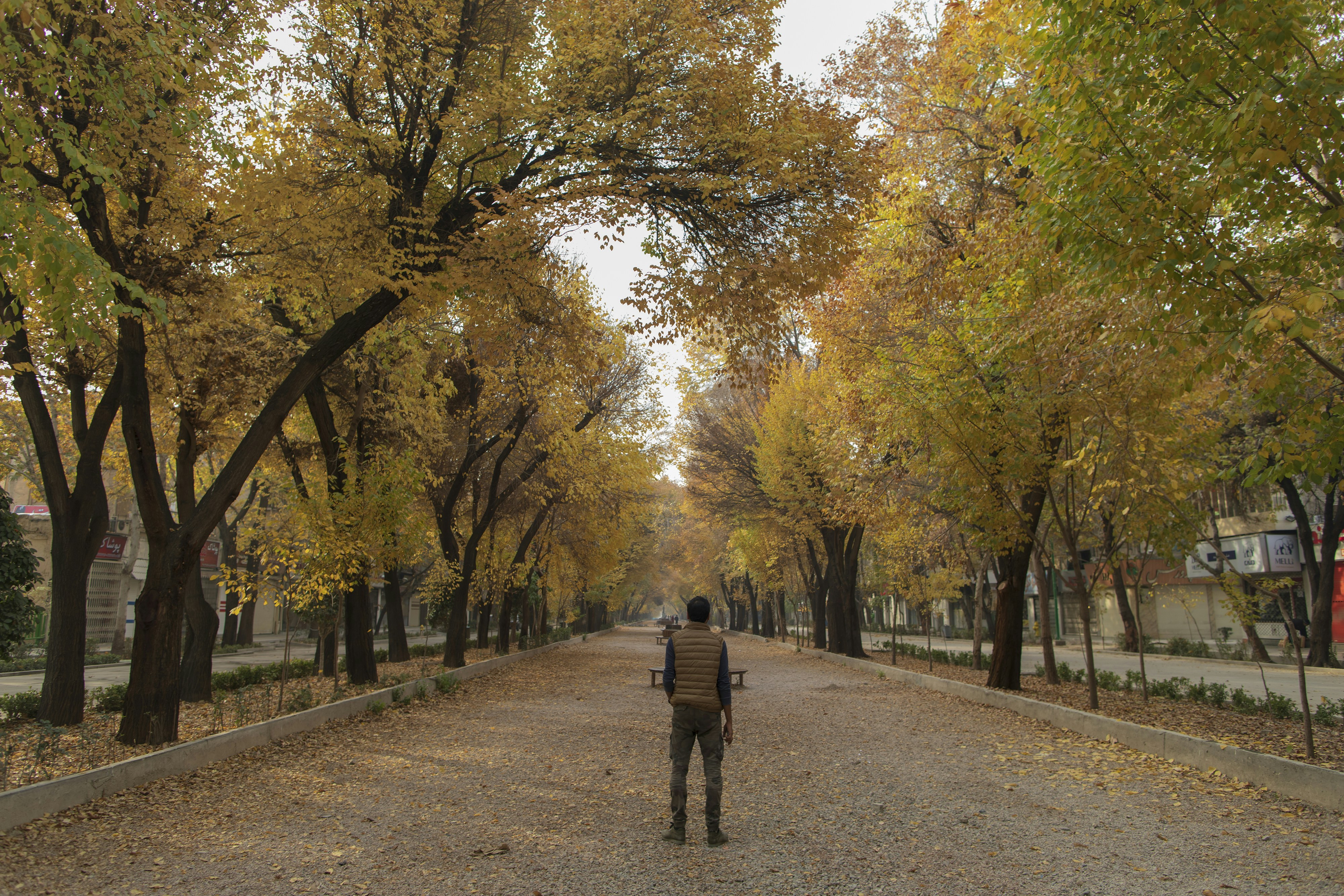 Photo by mostafa_meraji
