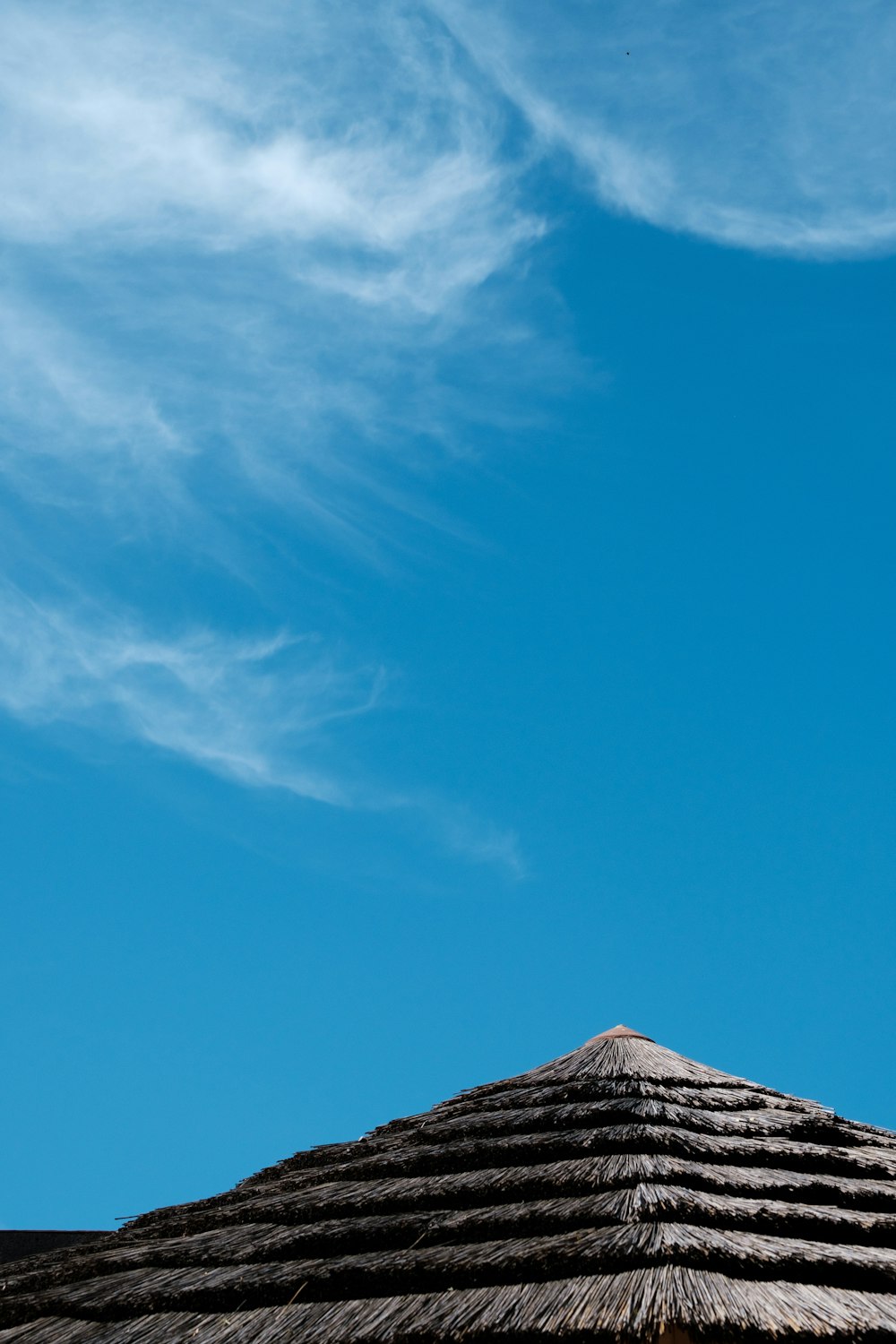 a thatched roof with a blue sky in the background