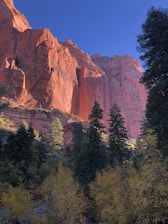 A serene view of Zion’s red rock cliffs bathed in warm sunlight, inviting peace and reflection.