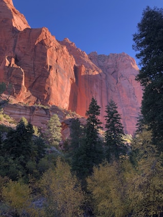 A serene view of Zion’s red rock cliffs bathed in warm sunlight, inviting peace and reflection.