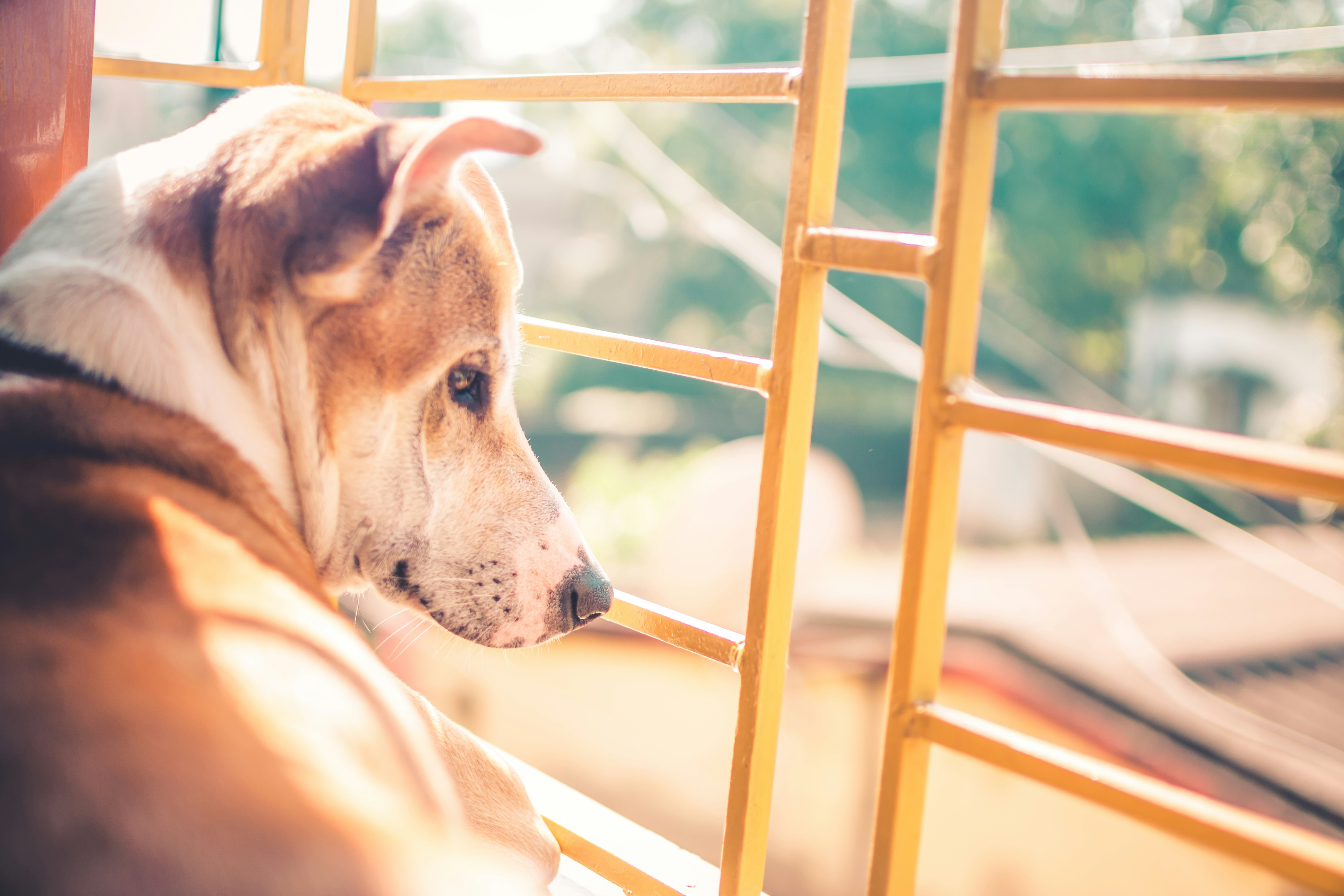 Photo by in_a_dustyblackcoat