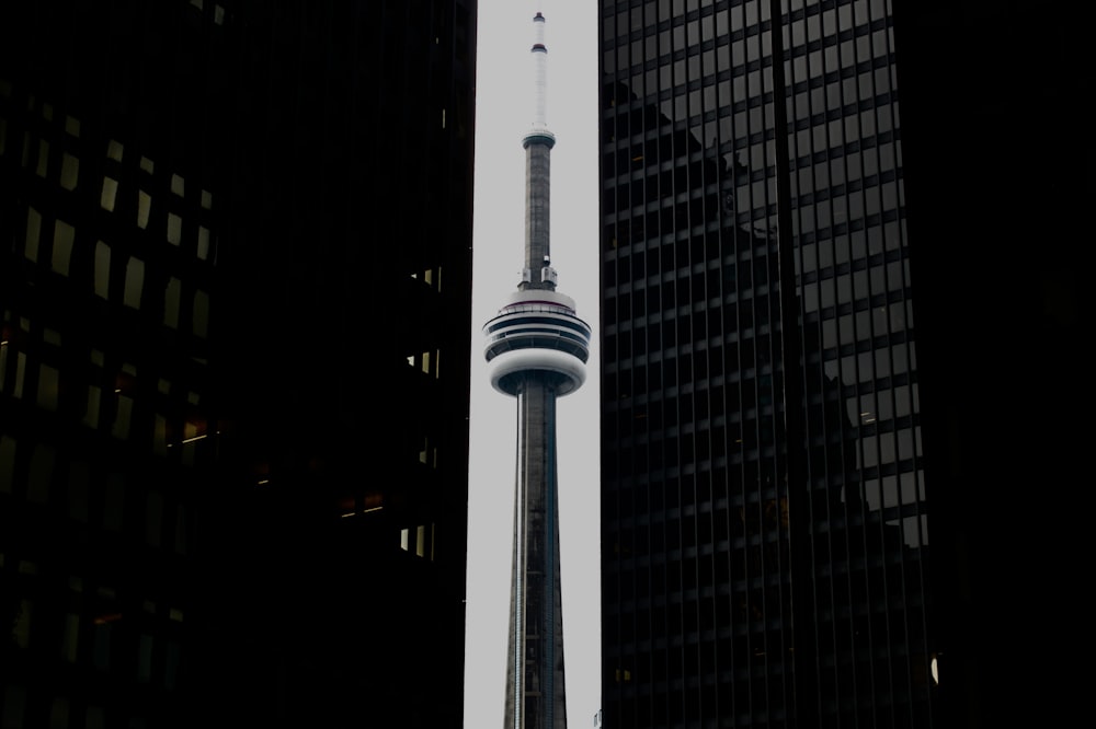a view of the cn tower in toronto, canada