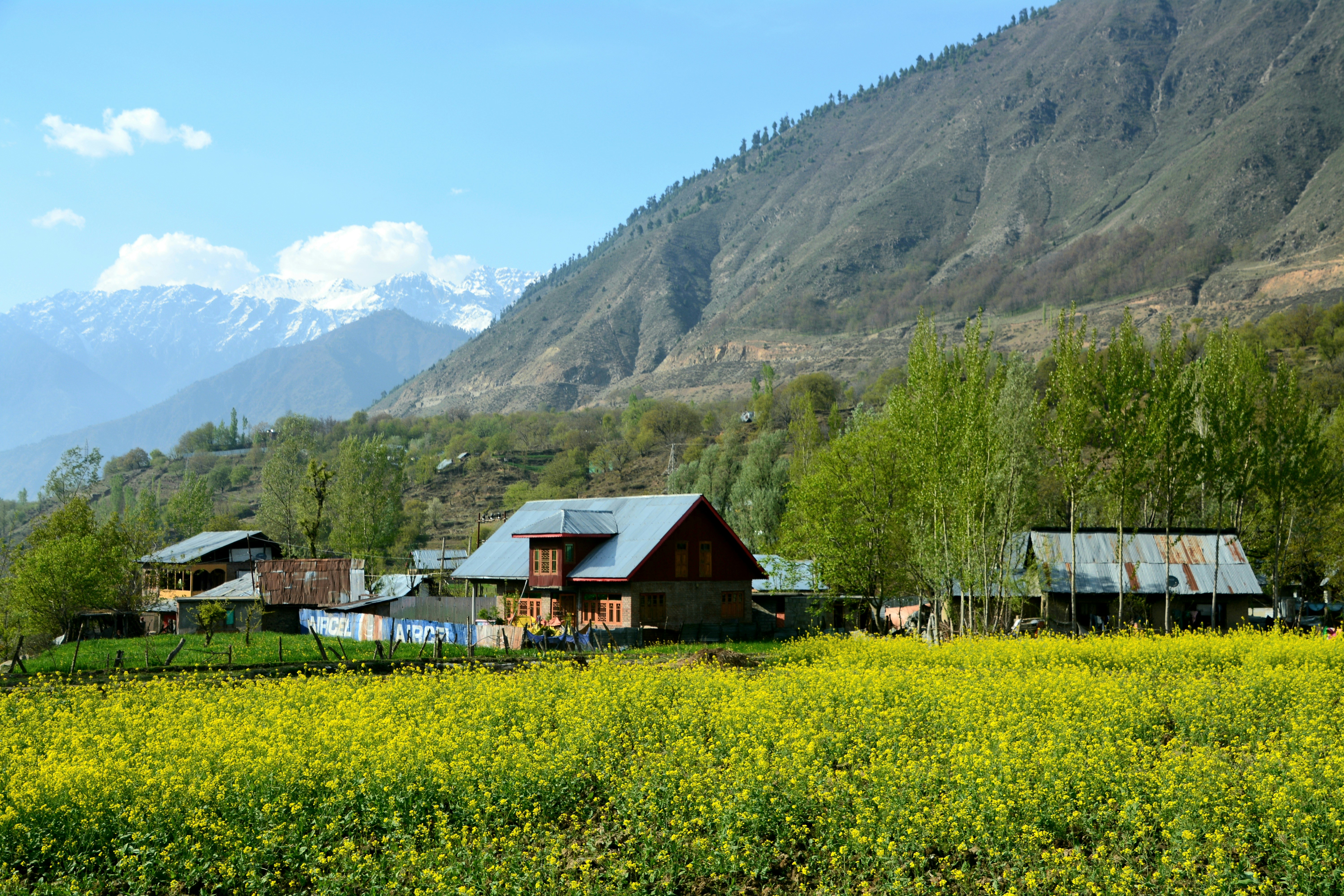 Srinagar Gurez Valley Package