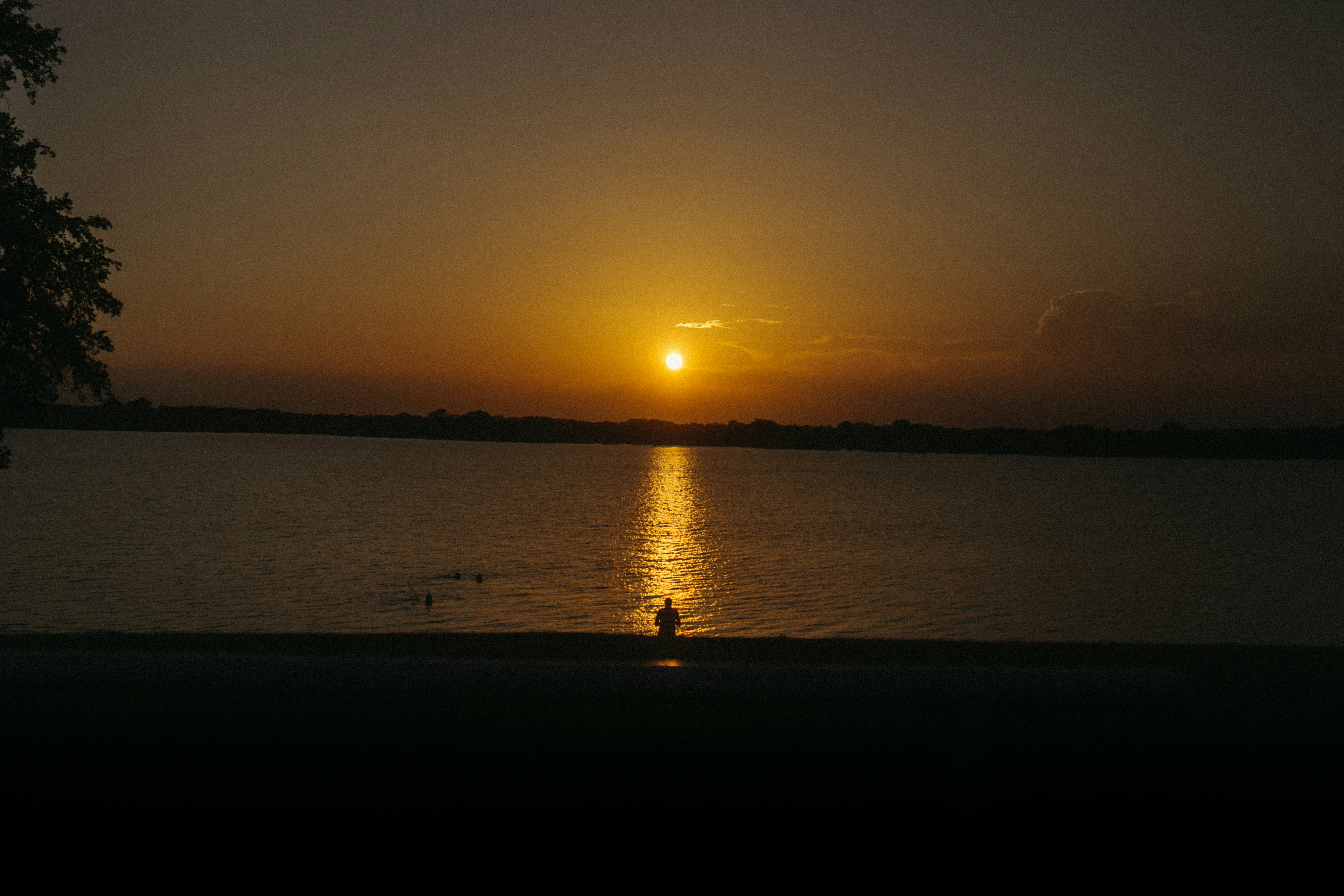 a sunset over a body of water with ducks swimming in it